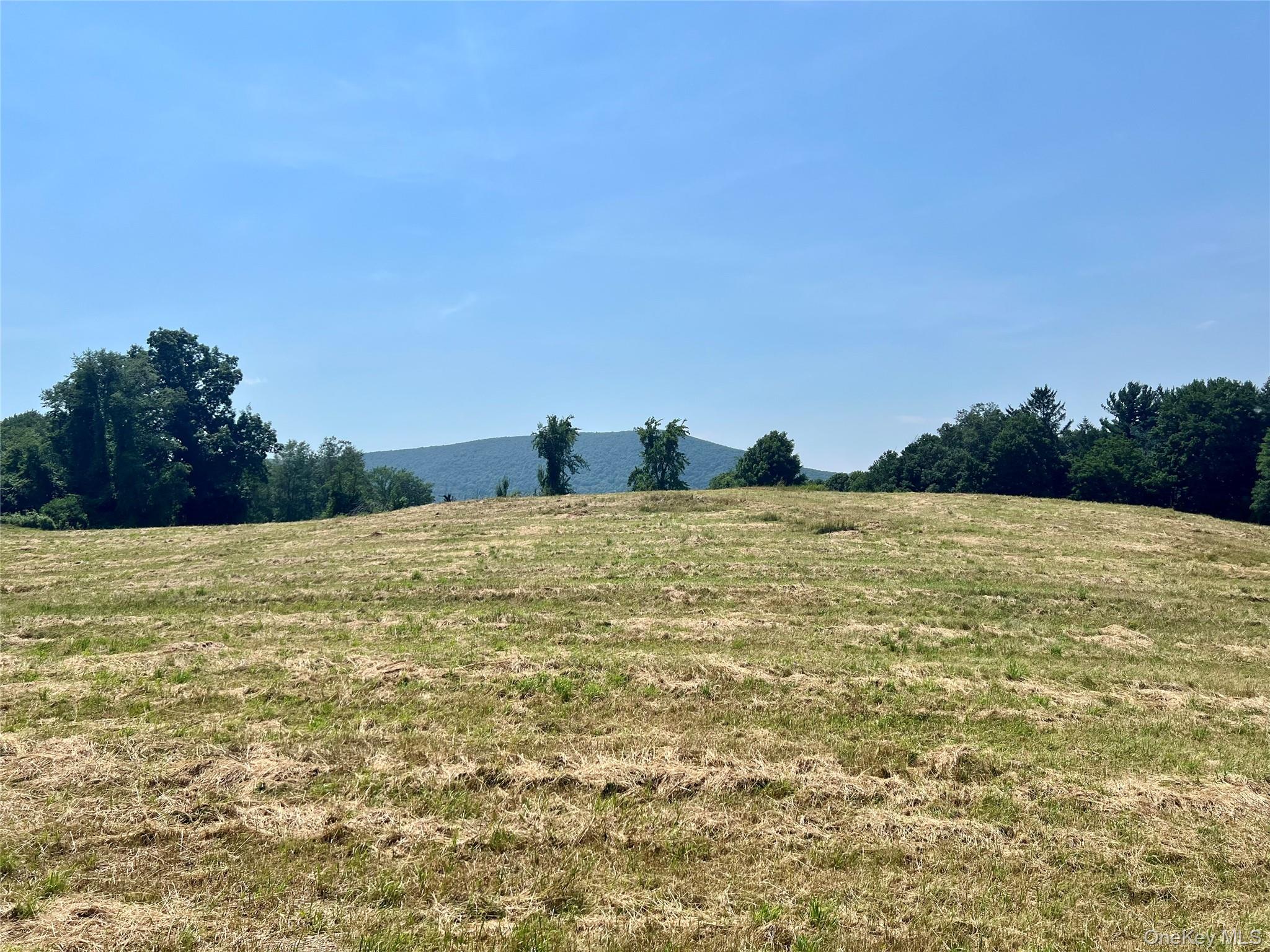 7668 Route 82 Property Photo 33