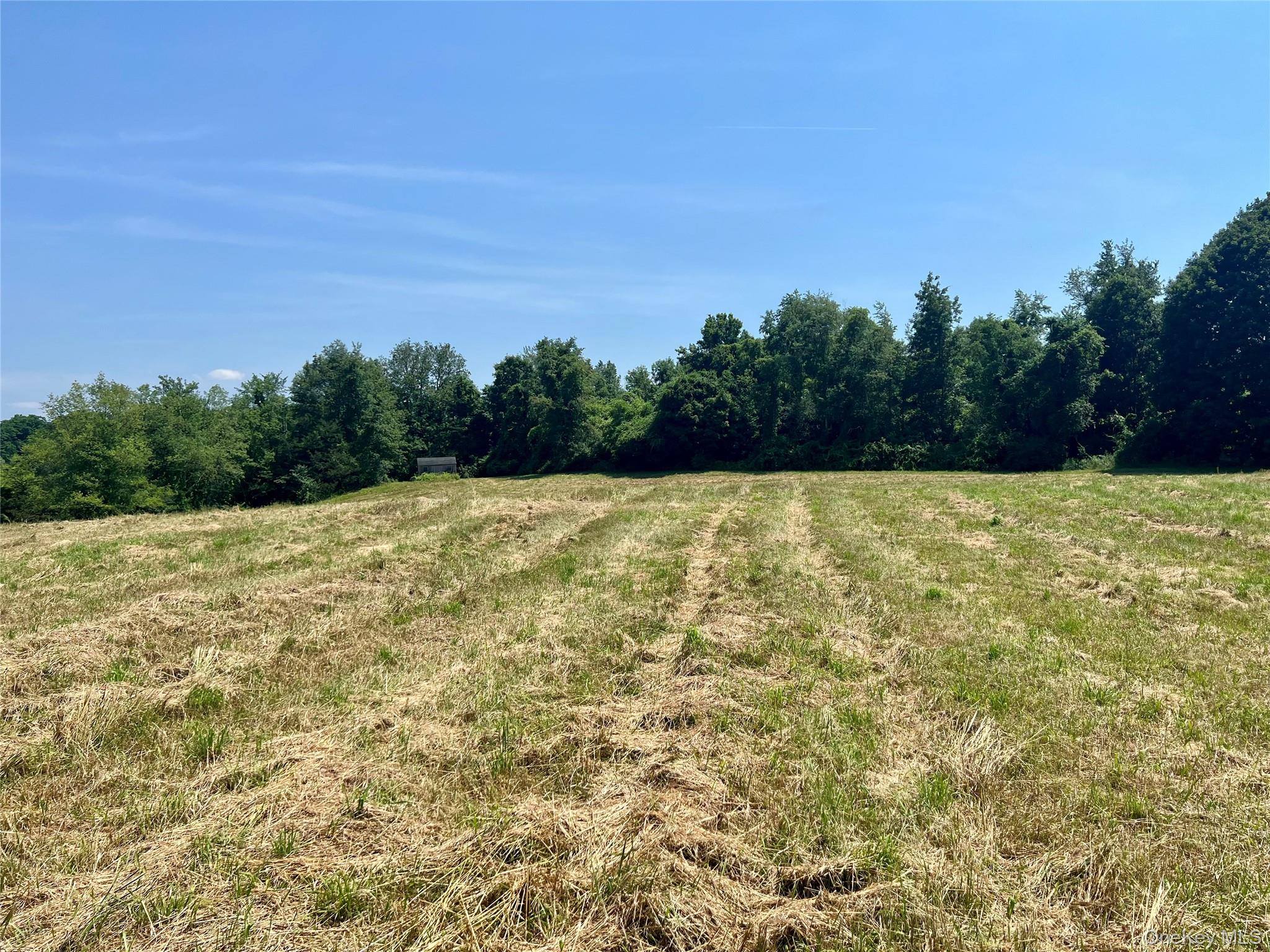 7668 Route 82 Property Photo 34
