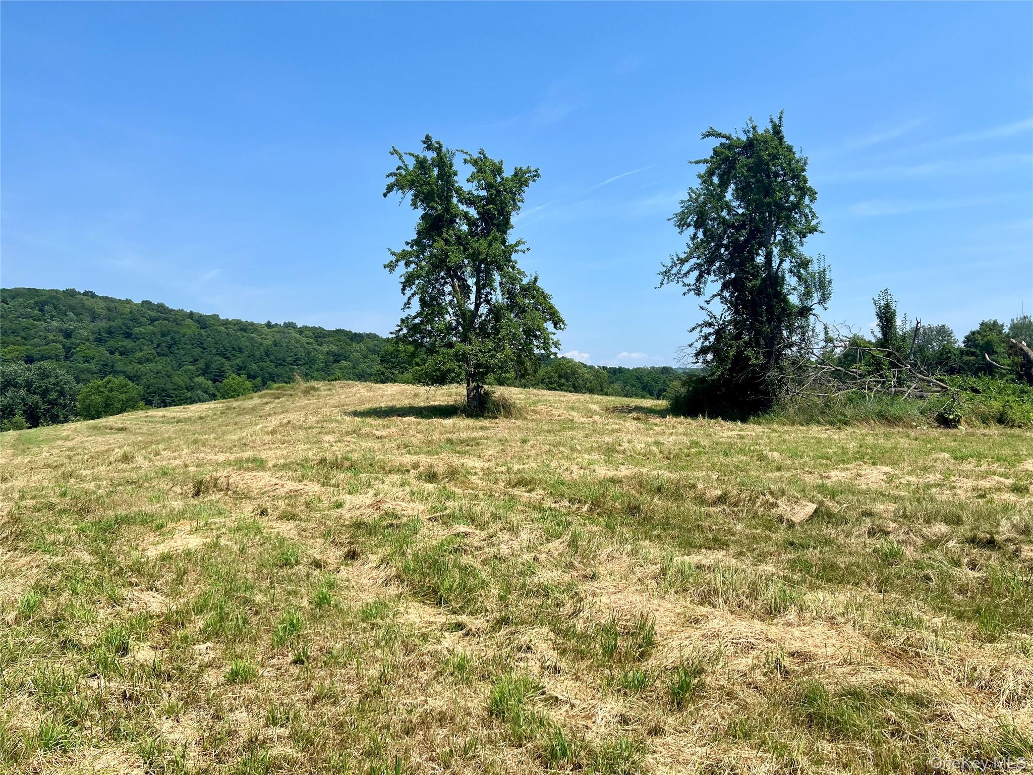 7668 Route 82 Property Photo 36