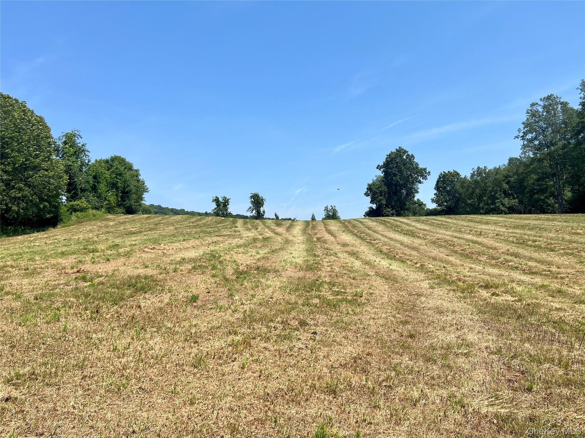 7668 Route 82 Property Photo 38