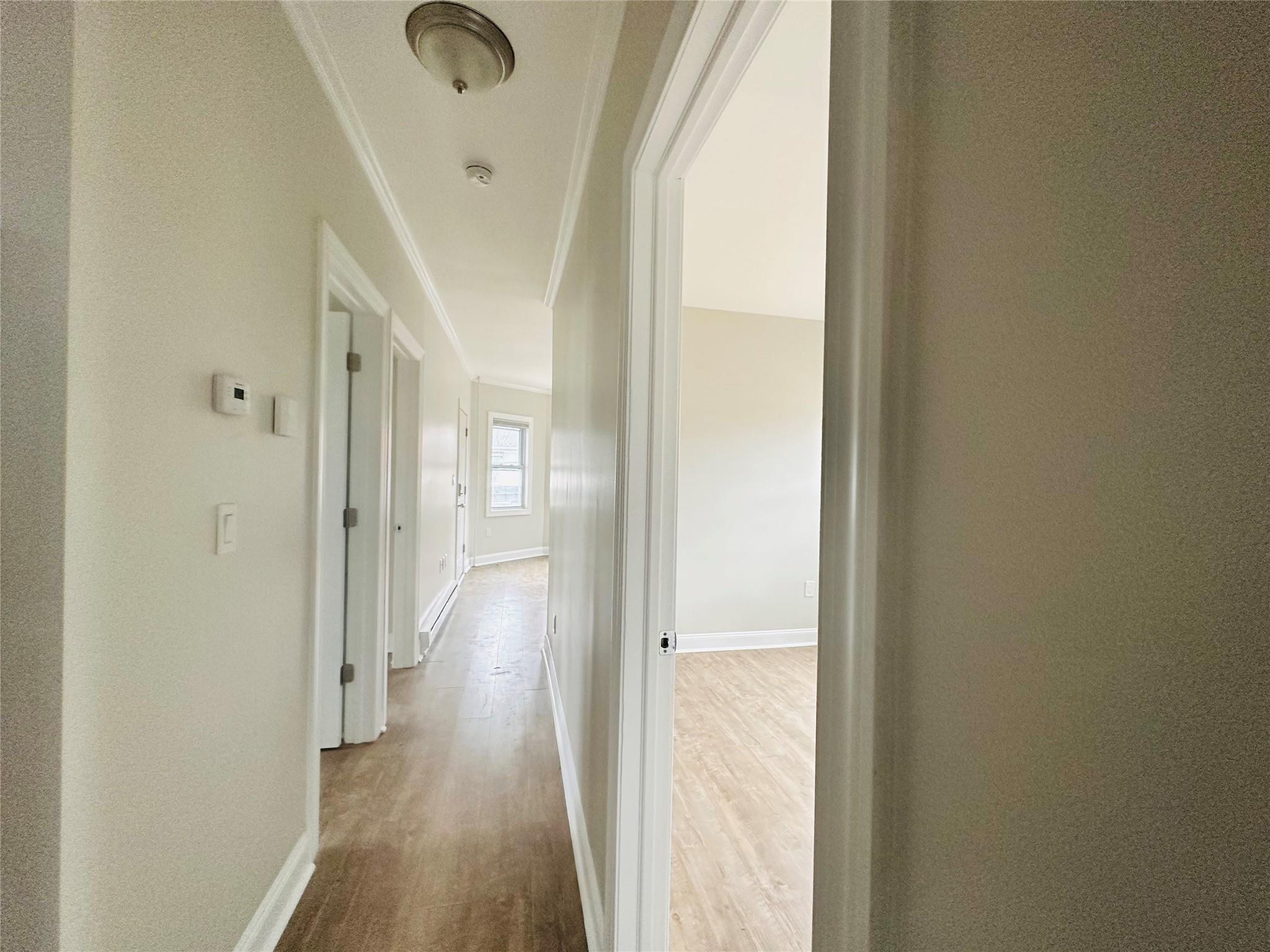 151 Cannon Street #3 Property Photo 11