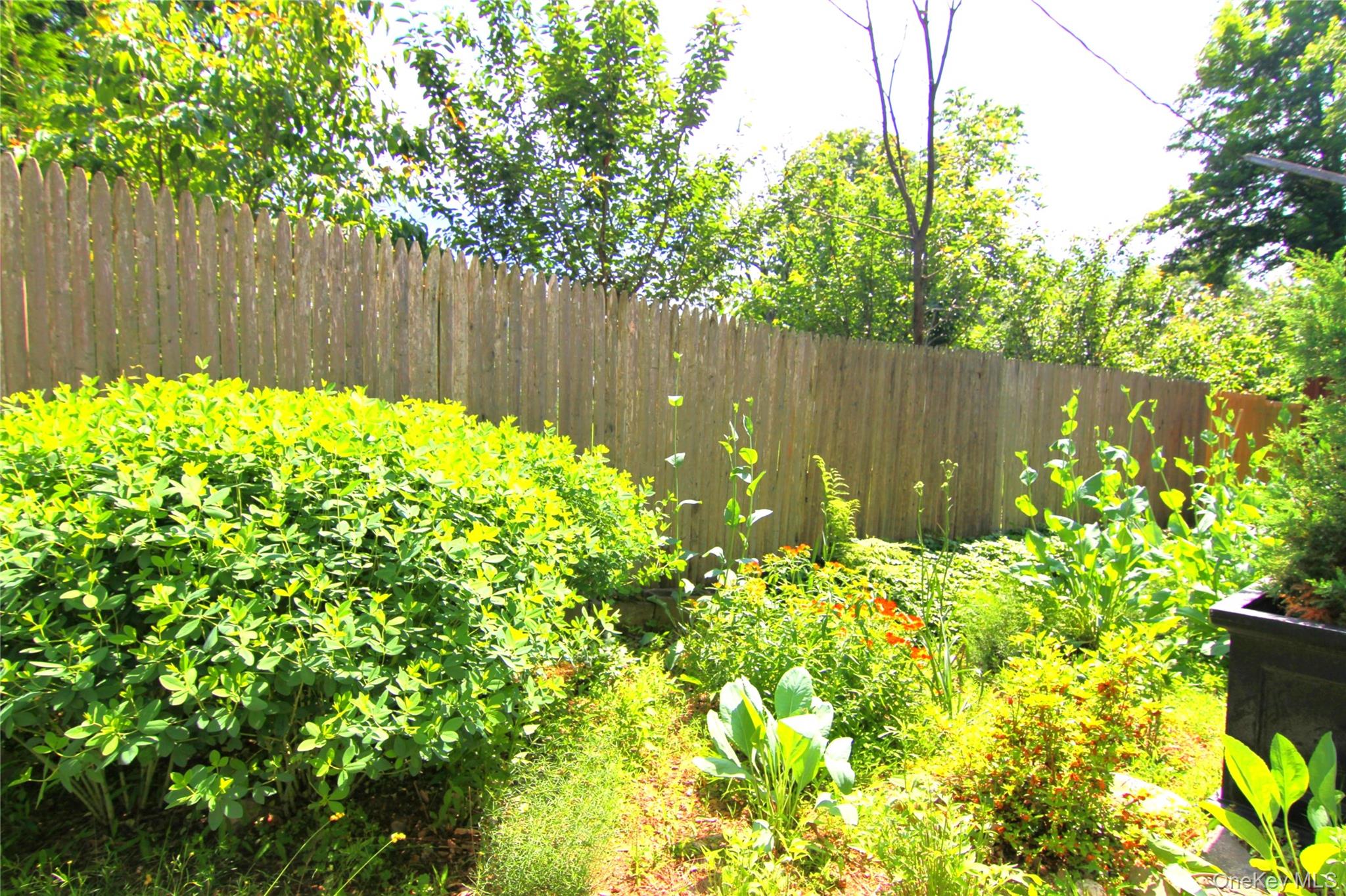 3155 Lexington Avenue 18ab Property Photo 5