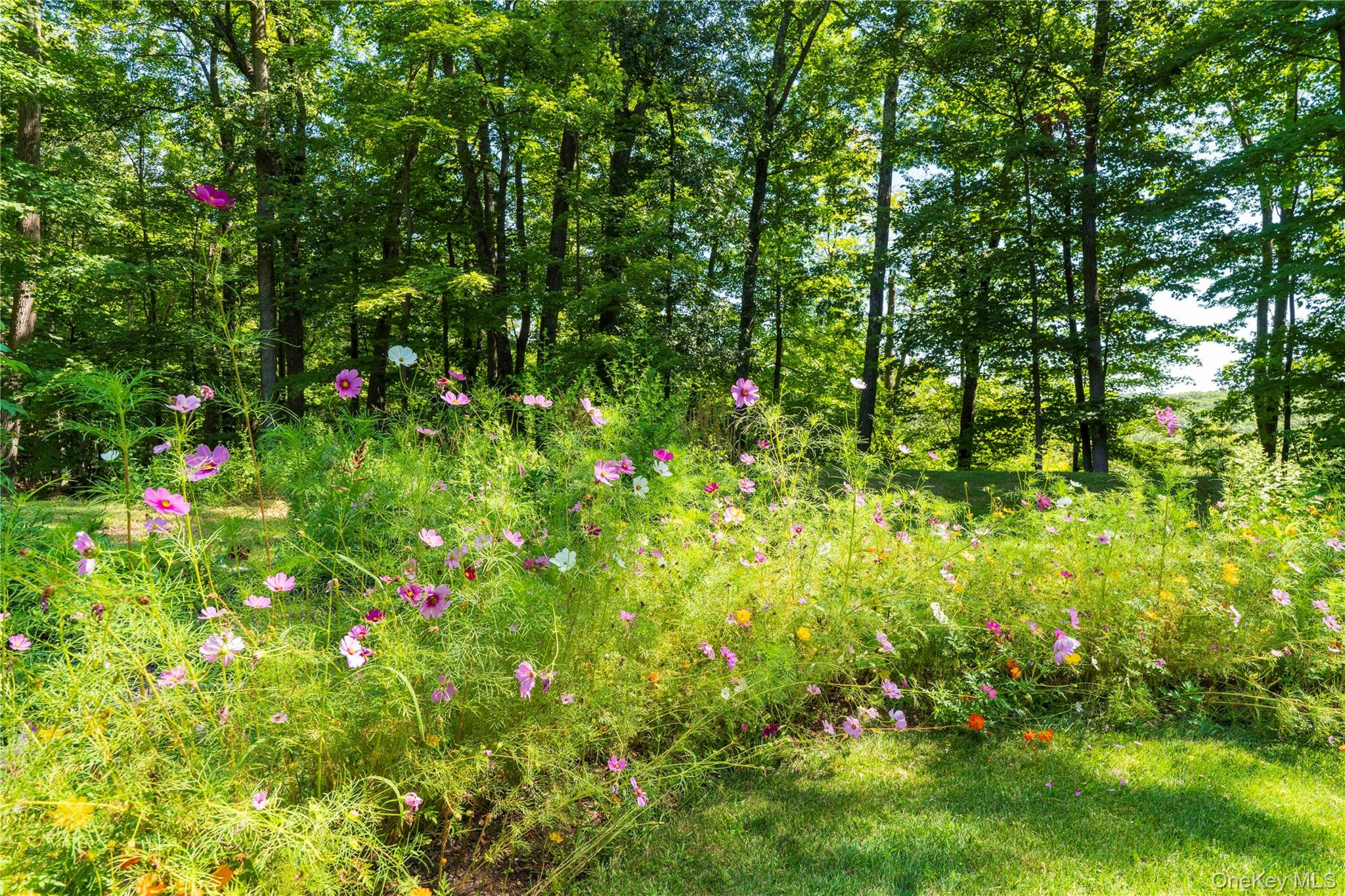 105 Iron Mountain Road Property Photo 12
