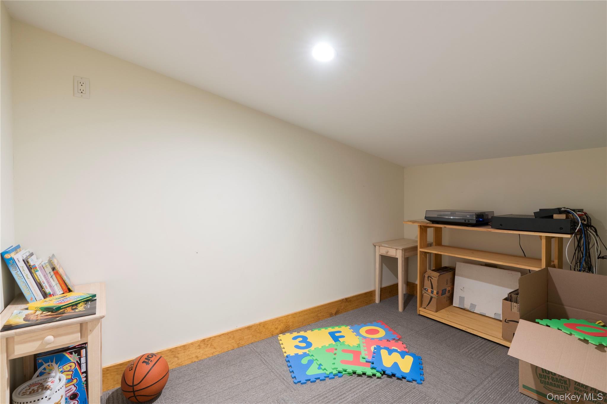 105 Iron Mountain Road Property Photo 45