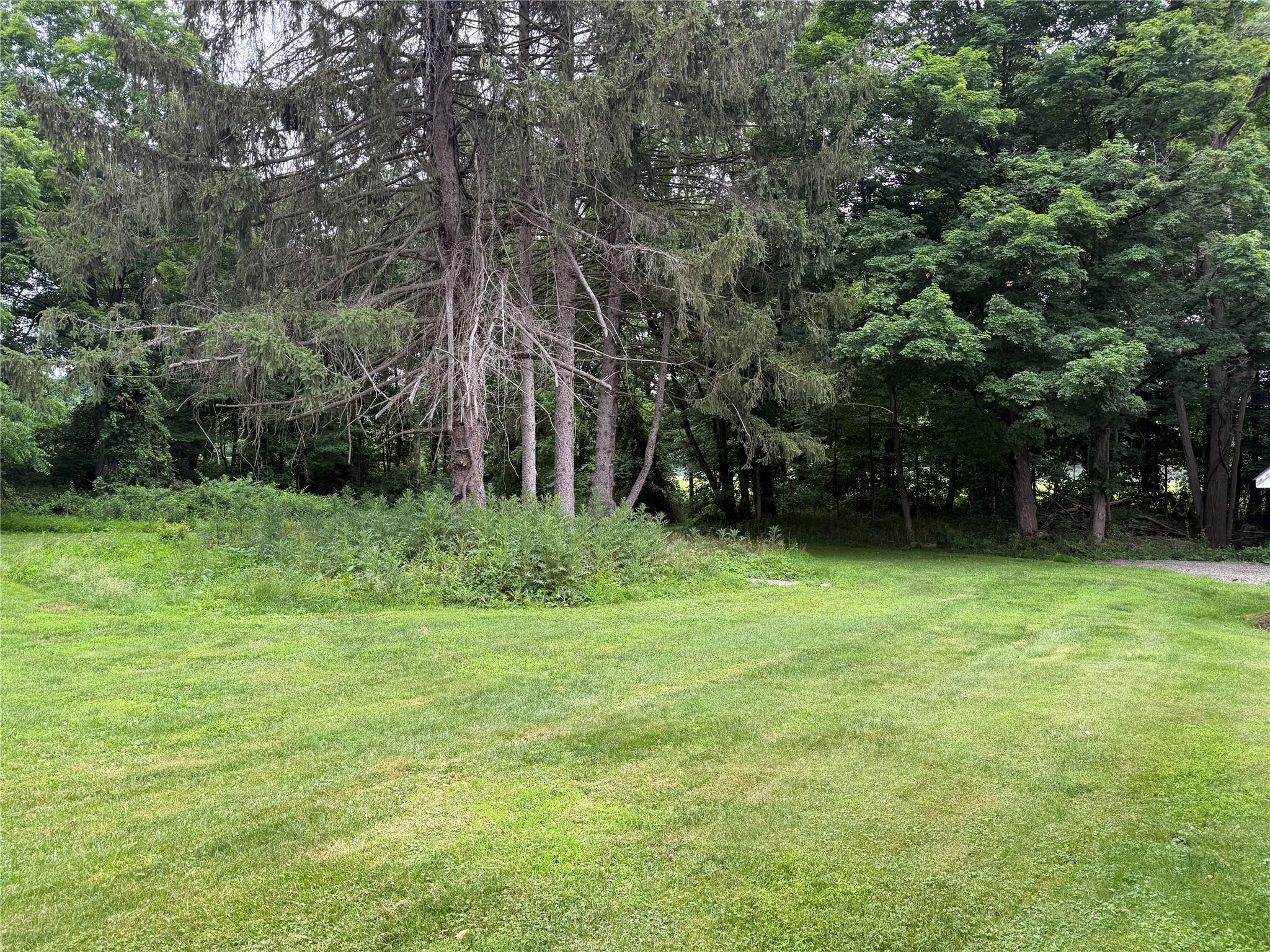 81 Route 82 Property Photo 25
