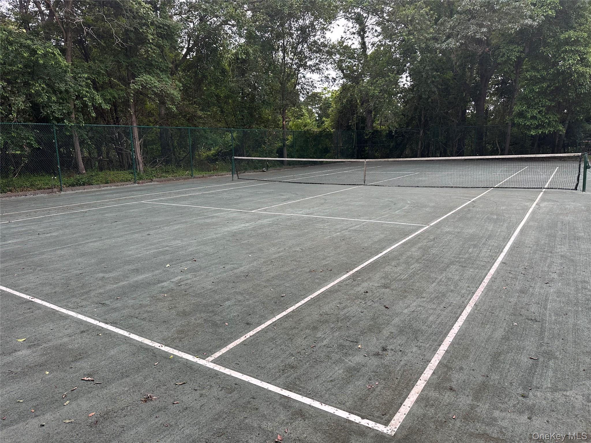 61 Hidden Cove Court Property Photo 29