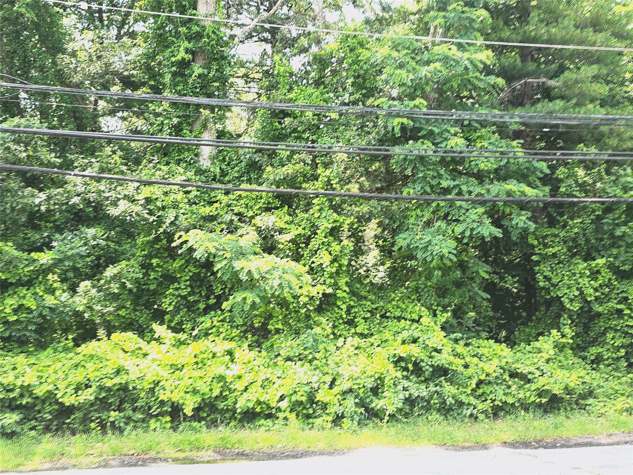 VL Yaphank-Middle Island Road Property Photo 1
