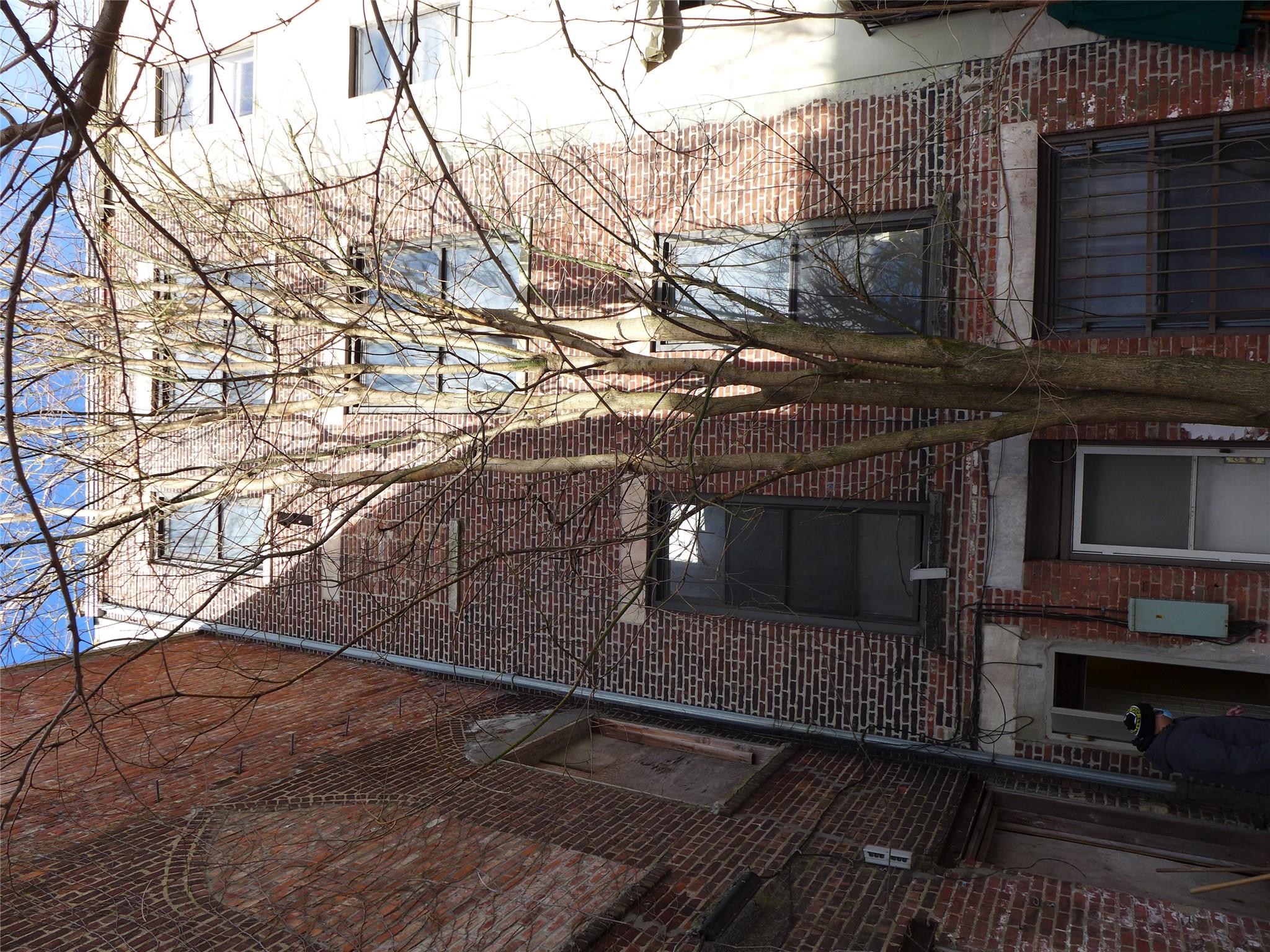 30 Edgecombe Avenue Property Photo 14