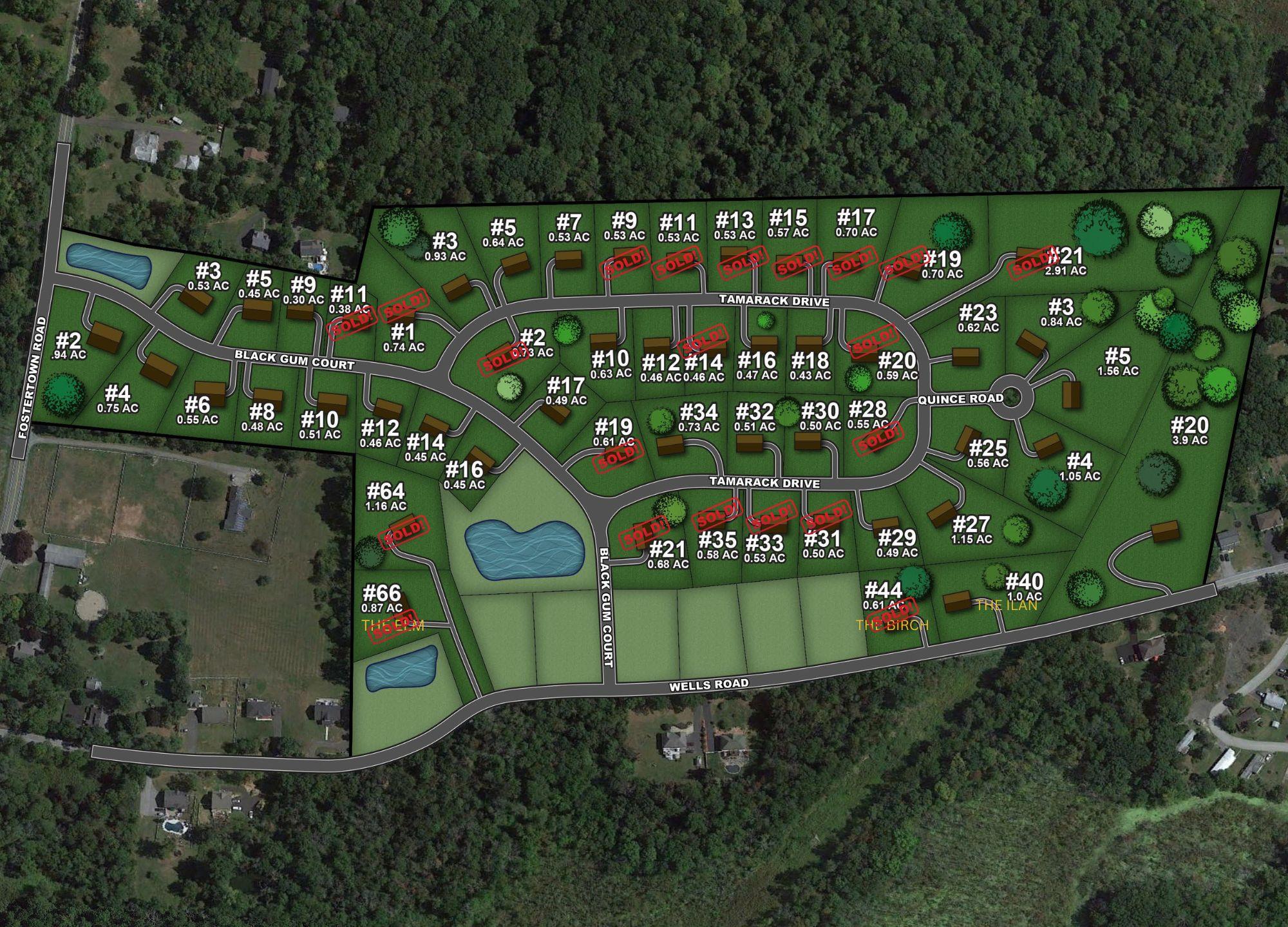 31 Tamarack Drive Property Photo 3