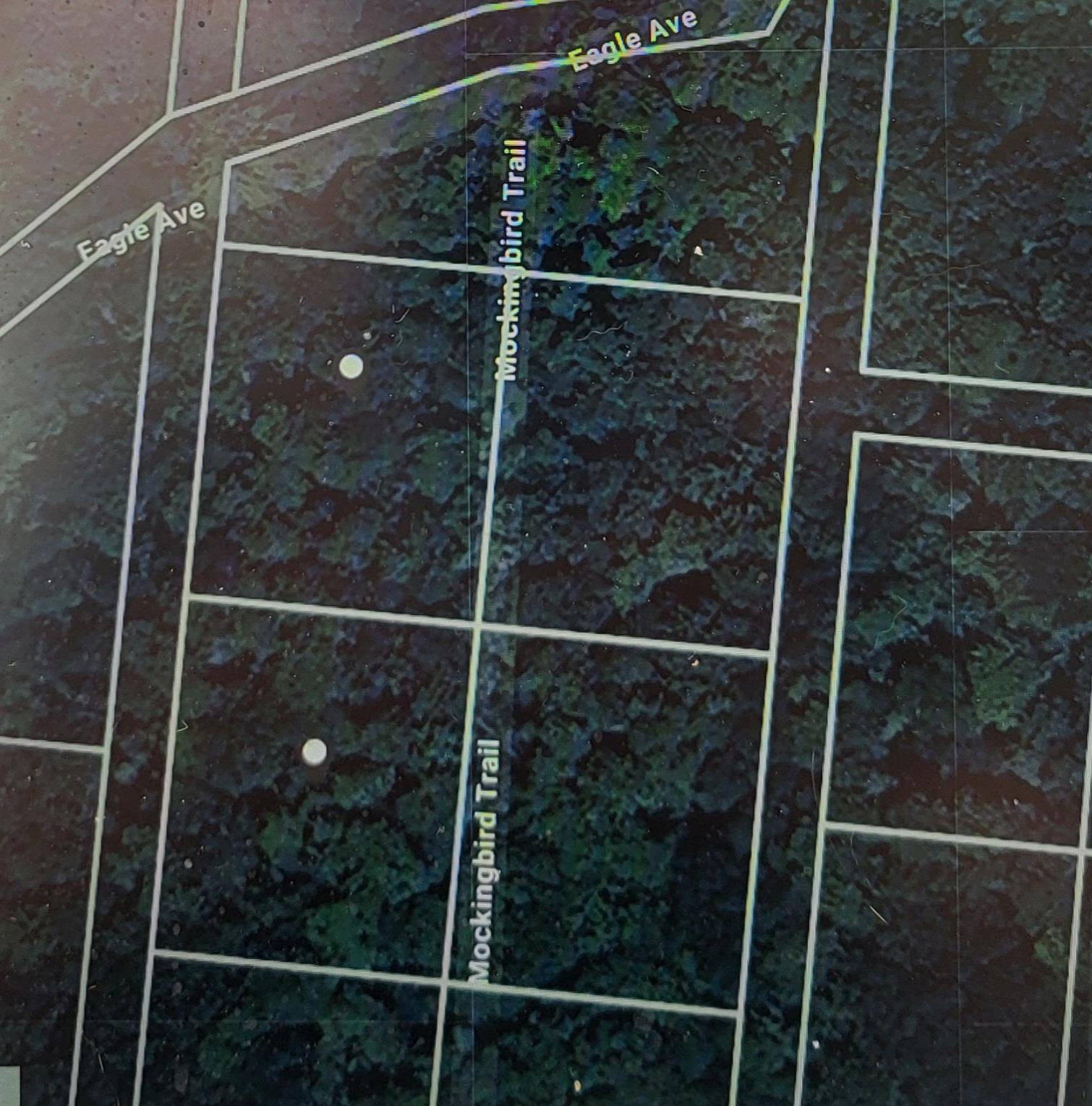 Mockingbird Trail Property Photo 1