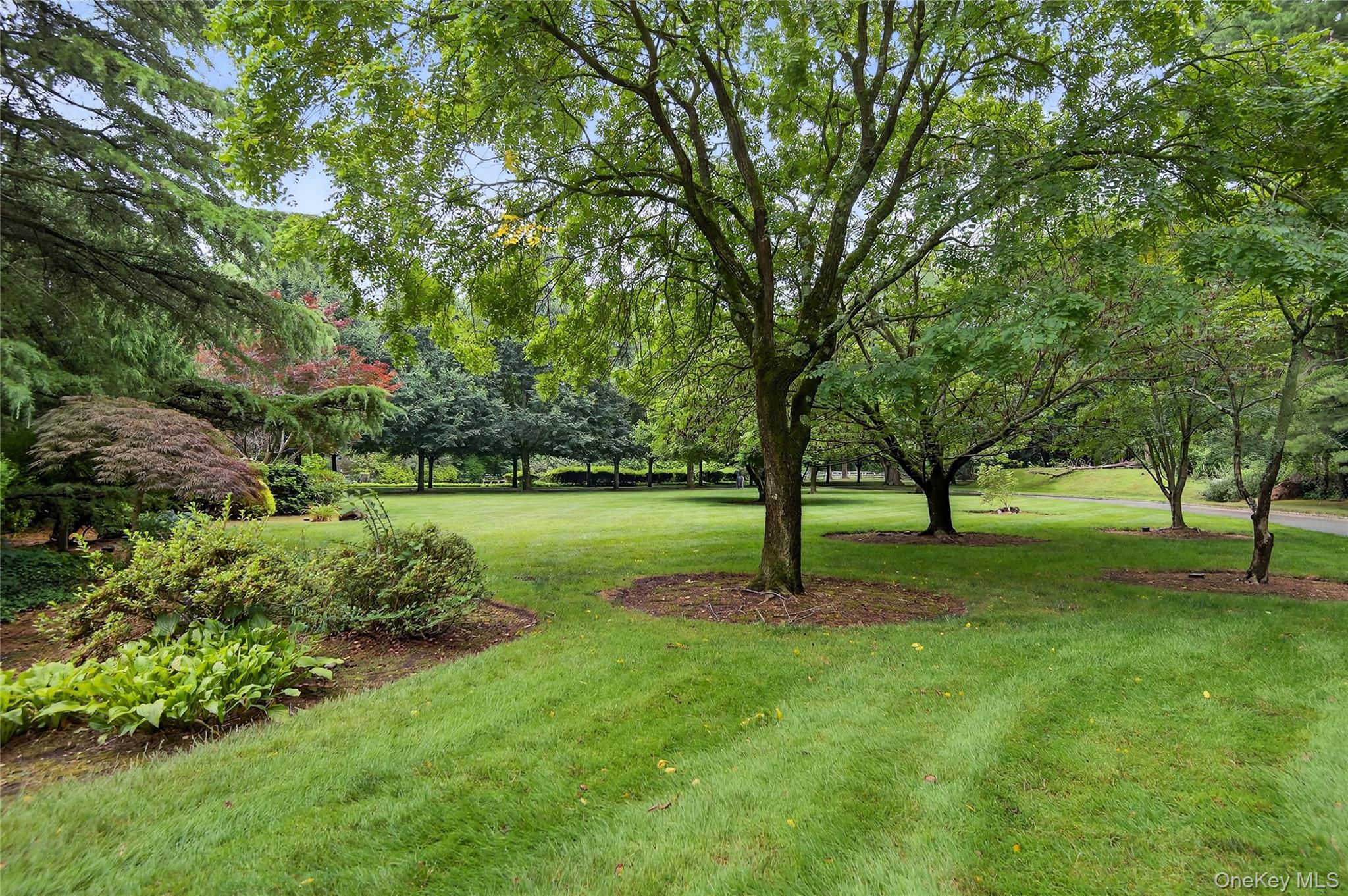 60 Piping Rock Road Property Photo 35