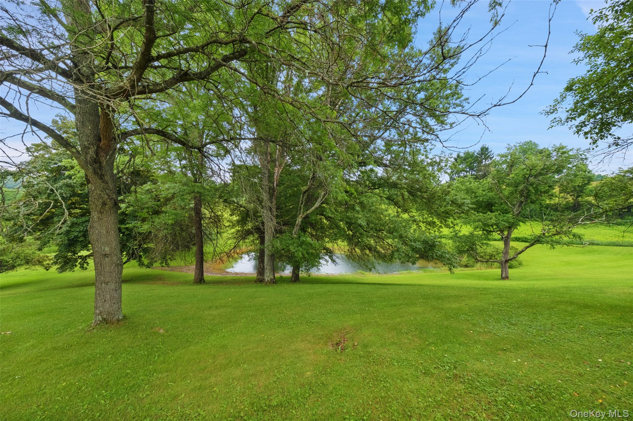 3880 County Road 30 Property Photo 33