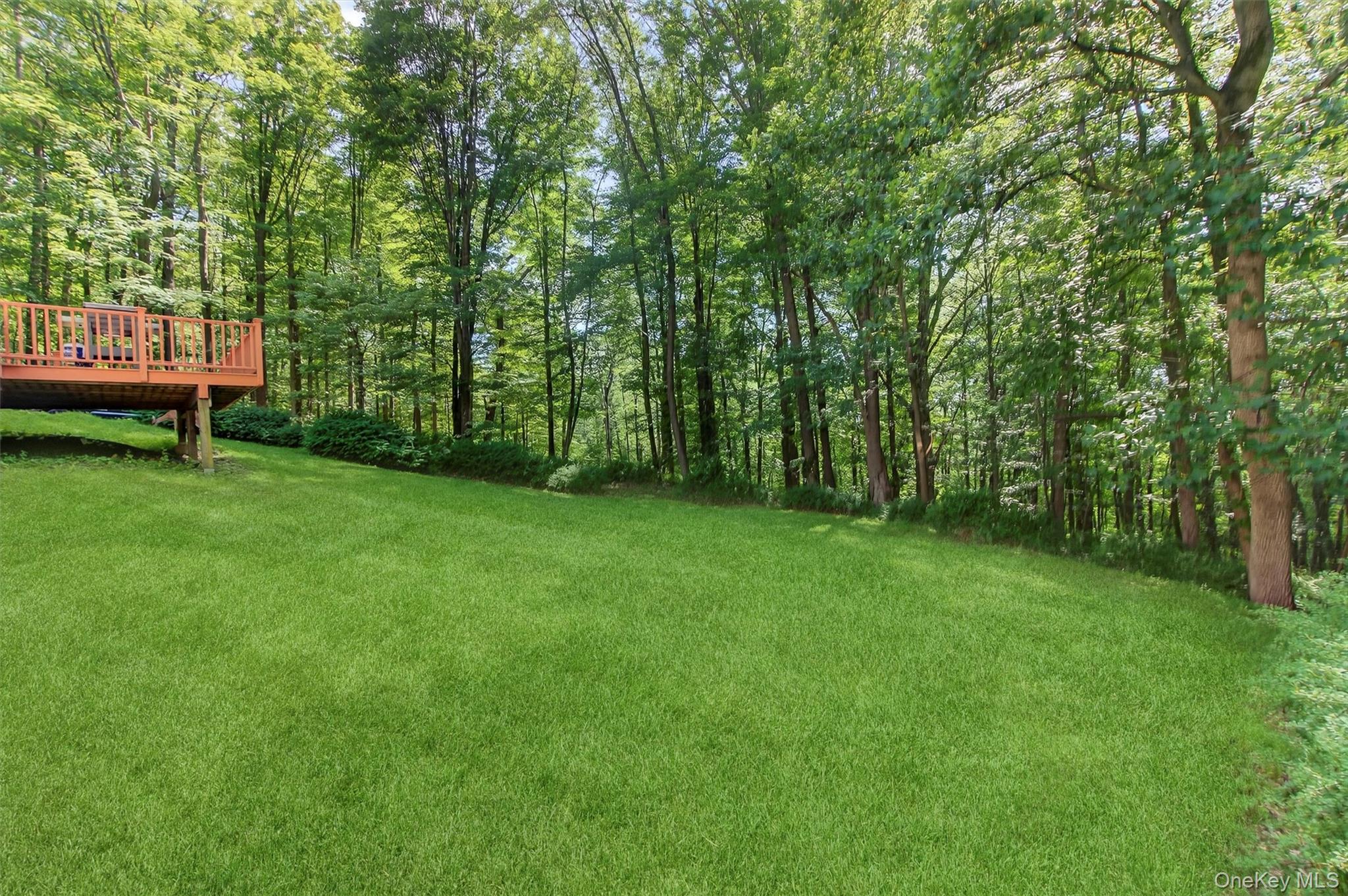 300 Estrada Road Property Photo 10
