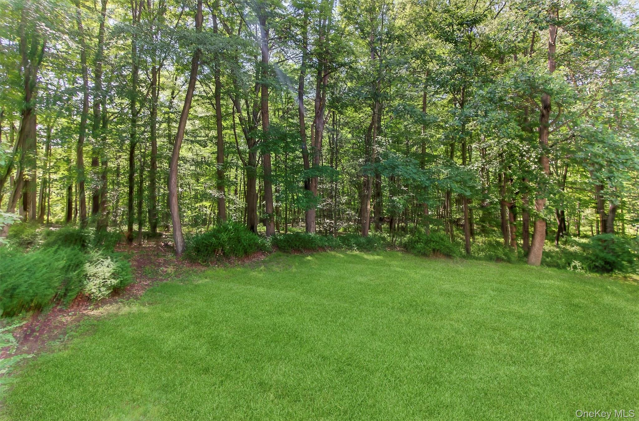 300 Estrada Road Property Photo 11