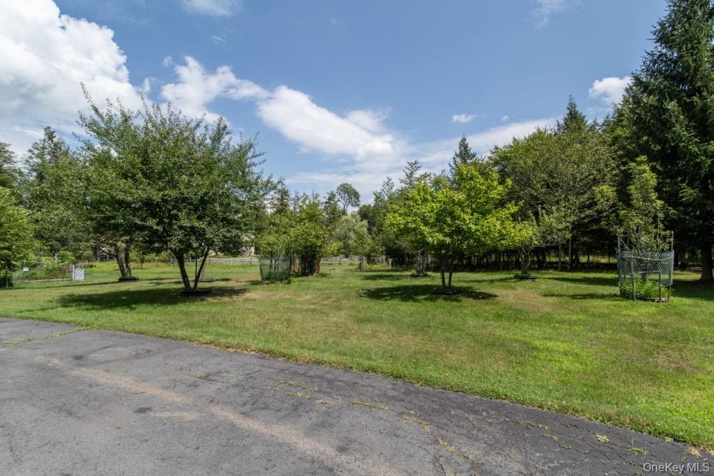 139 Haddock Road Property Photo 29
