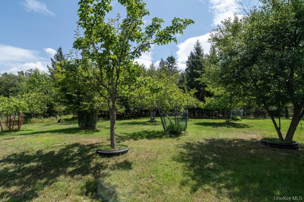139 Haddock Road Property Photo 30