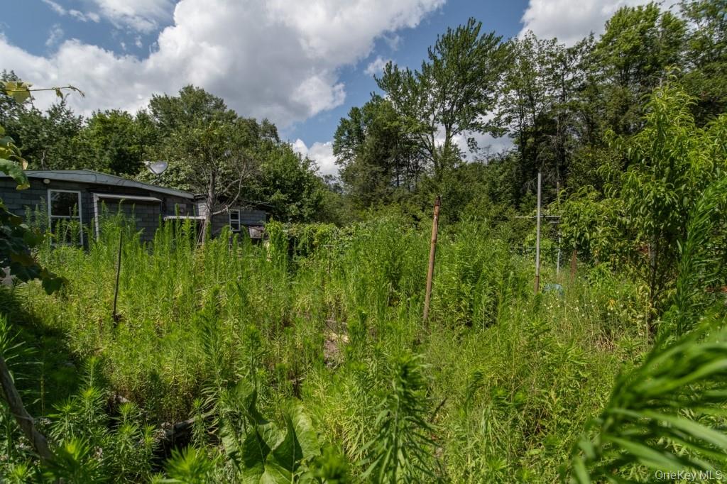 139 Haddock Road Property Photo 34