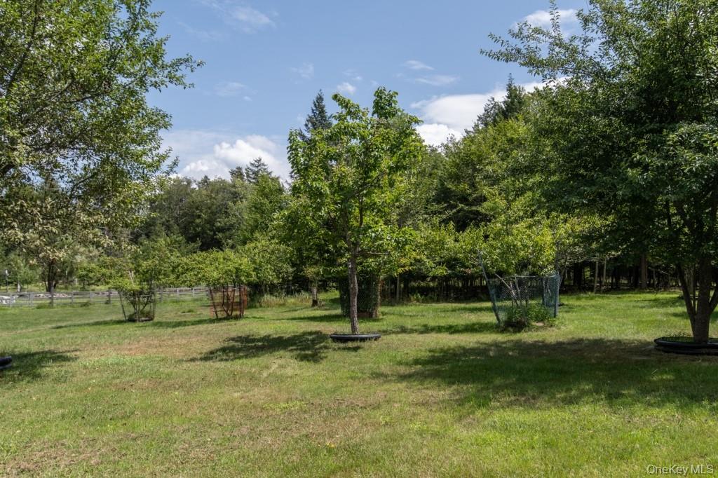 139 Haddock Road Property Photo 35