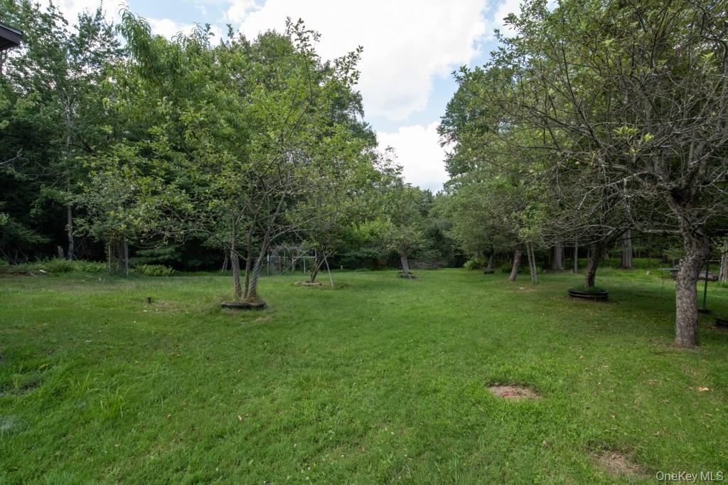 139 Haddock Road Property Photo 36