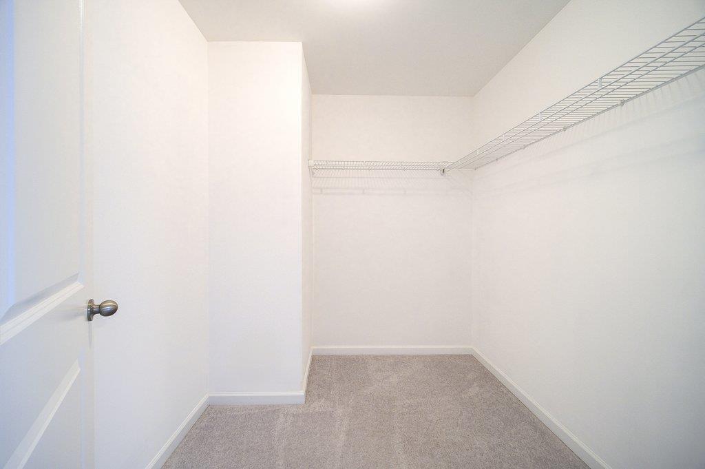 31 Pinto Road Property Photo 16