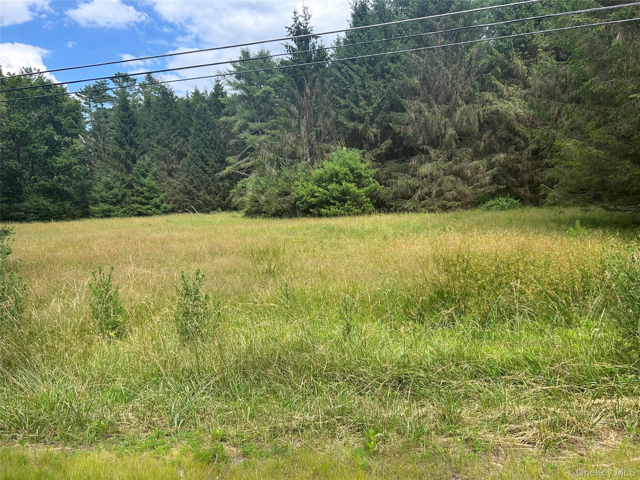 27 Woods Road Property Photo 3