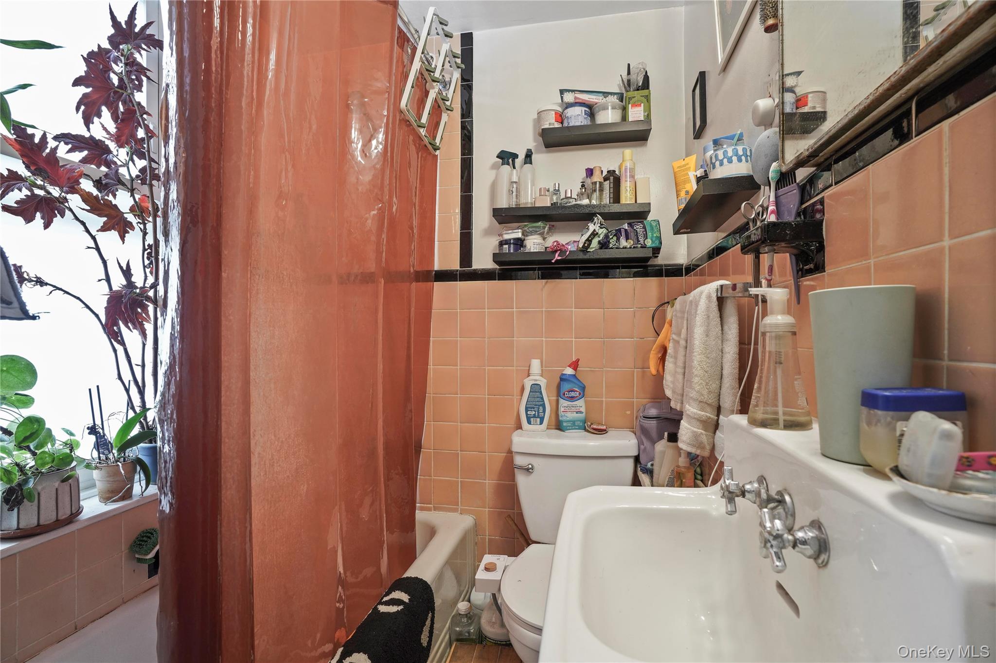 6046 Putnam Avenue Property Photo 27