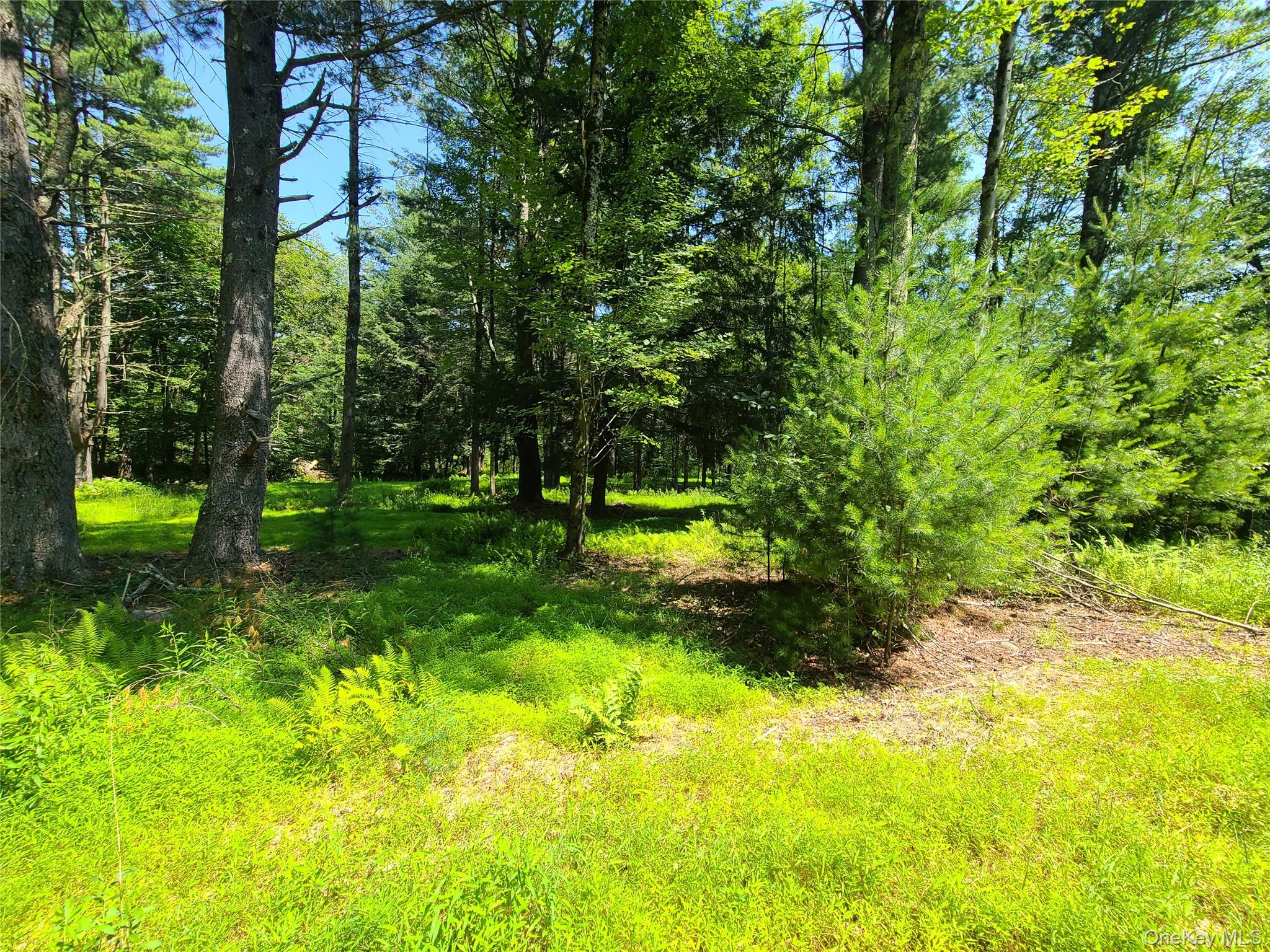 28 Martin Lane Property Photo 33