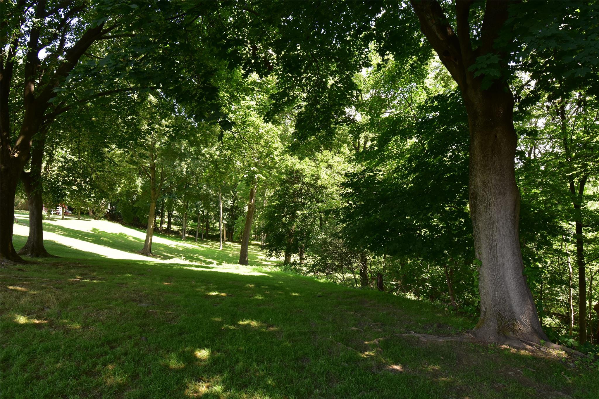 Stewart Avenue Property Photo 4