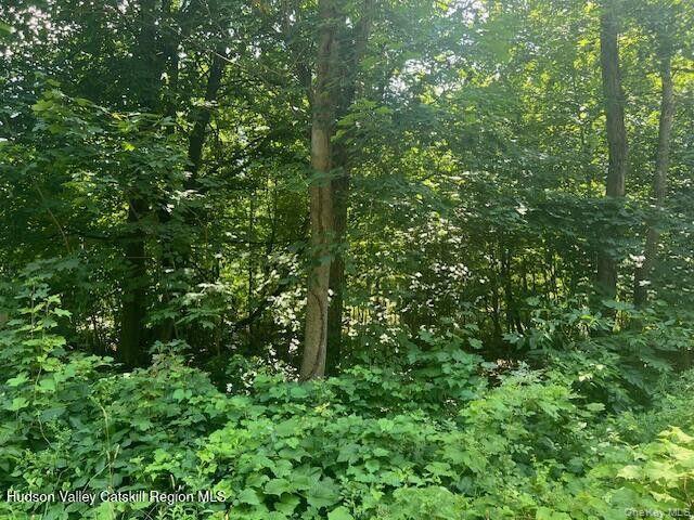 7 Ulster Avenue Property Photo 1