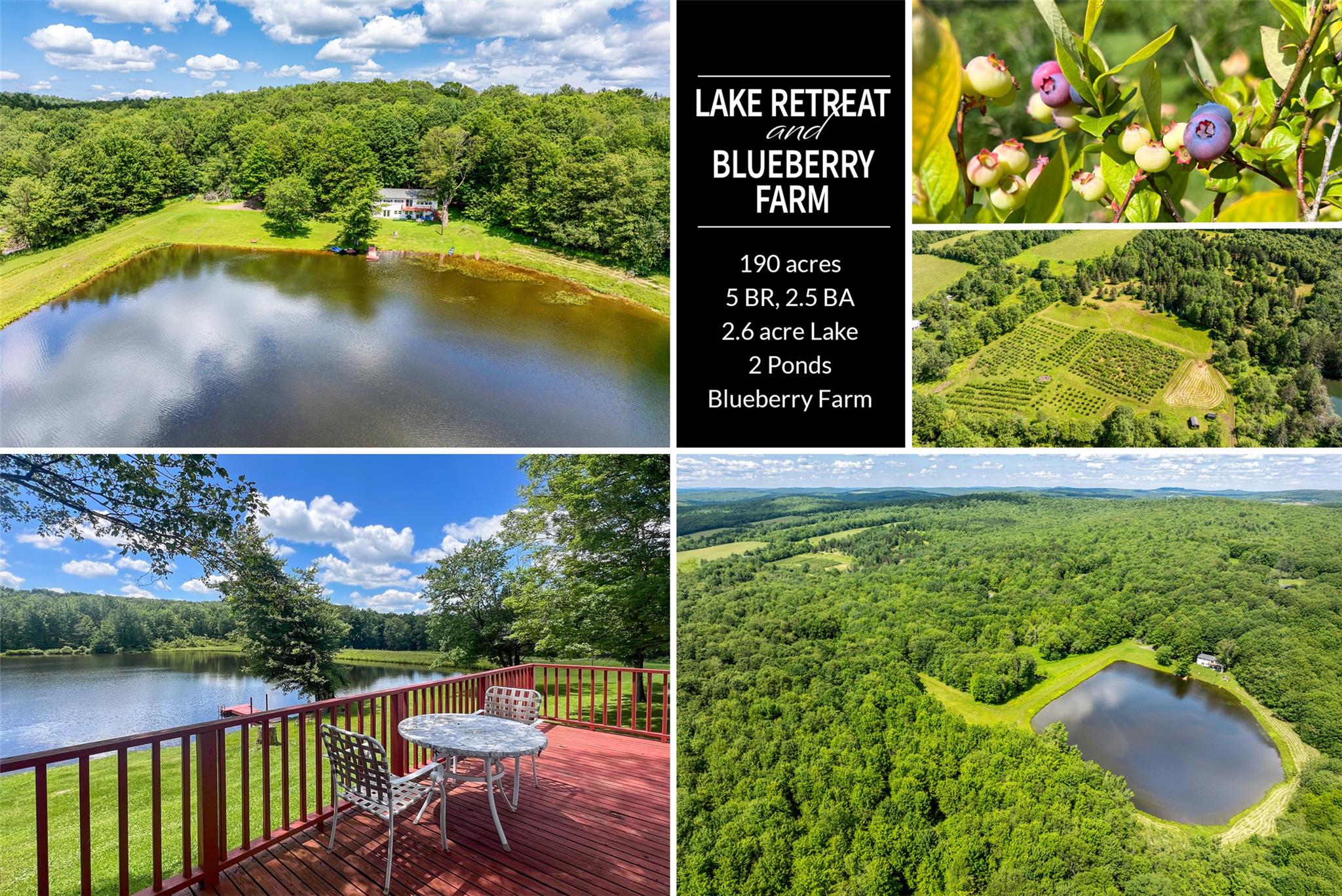 361 Warren Road Property Photo 1