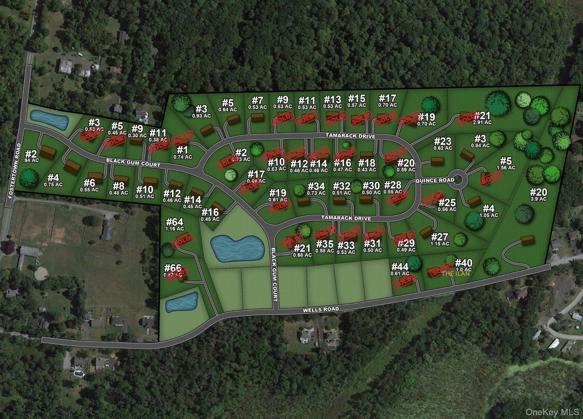 17 Black Gum Court Property Photo 47