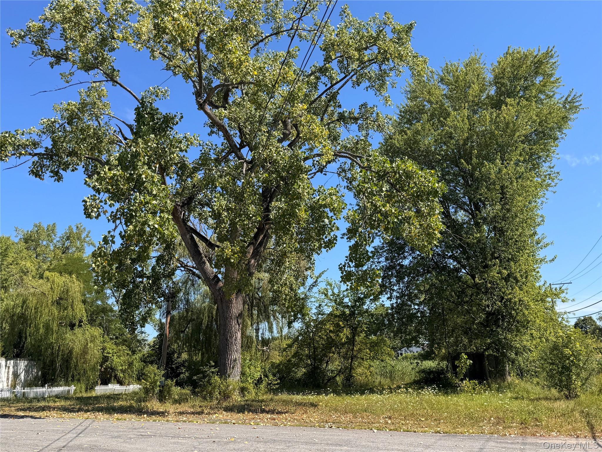 11559 State Route 9w Property Photo 19