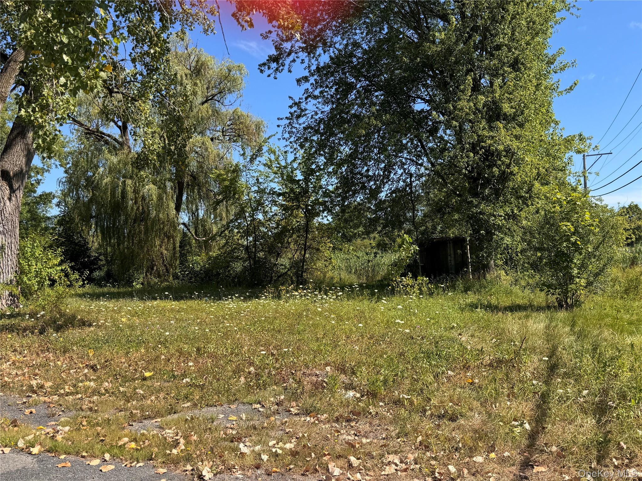 11559 State Route 9w Property Photo 20