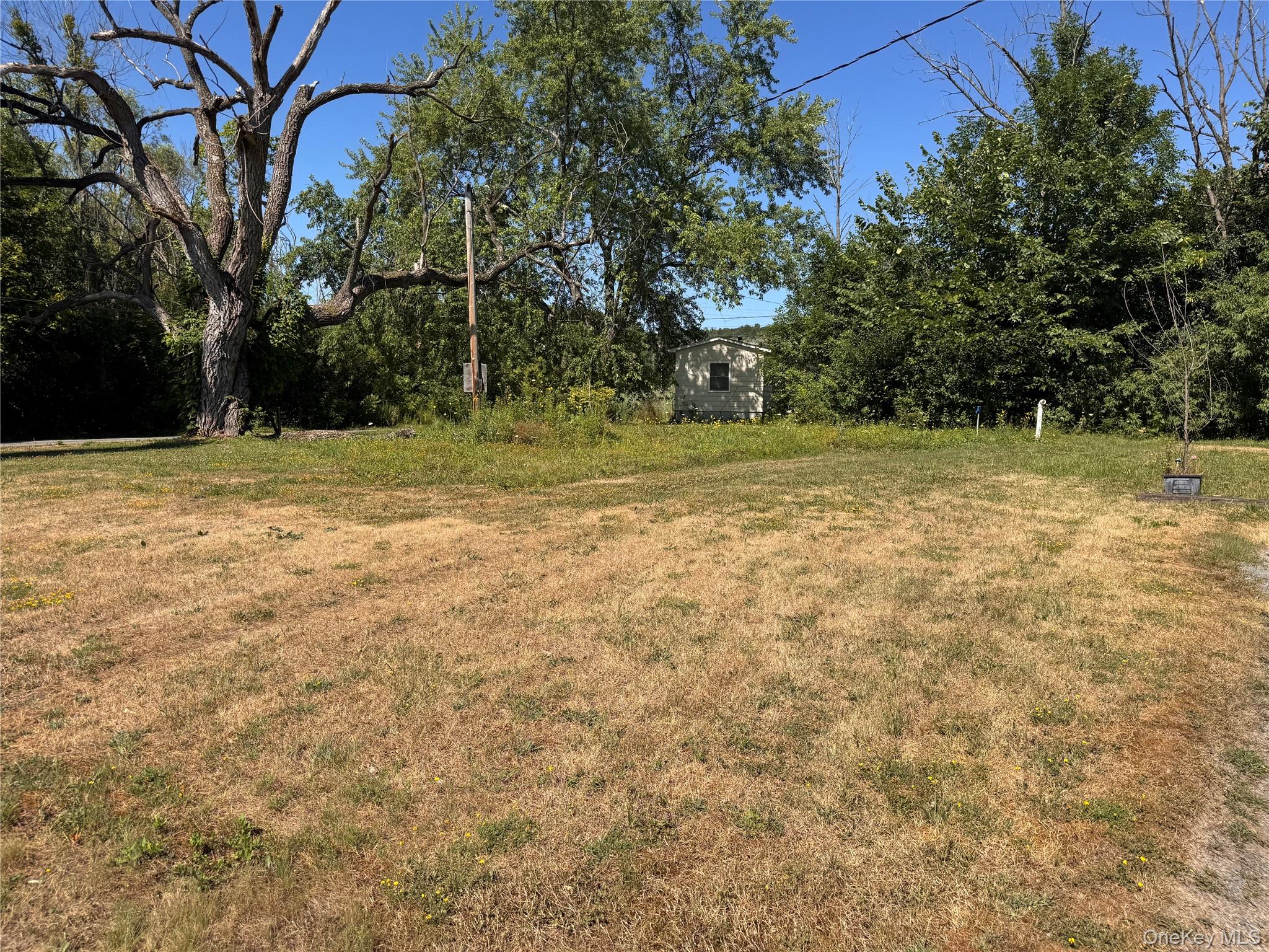 11559 State Route 9w Property Photo 26