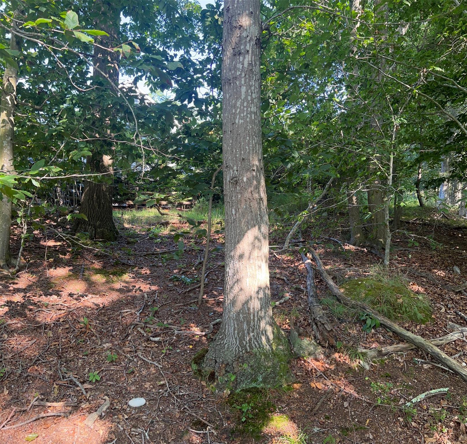 Fern Road Property Photo 4
