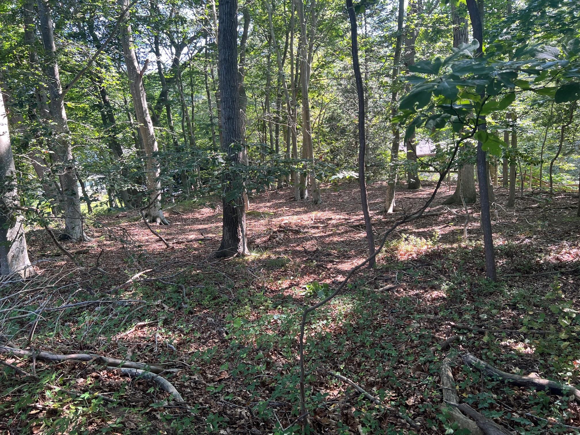 Fern Road Property Photo 5