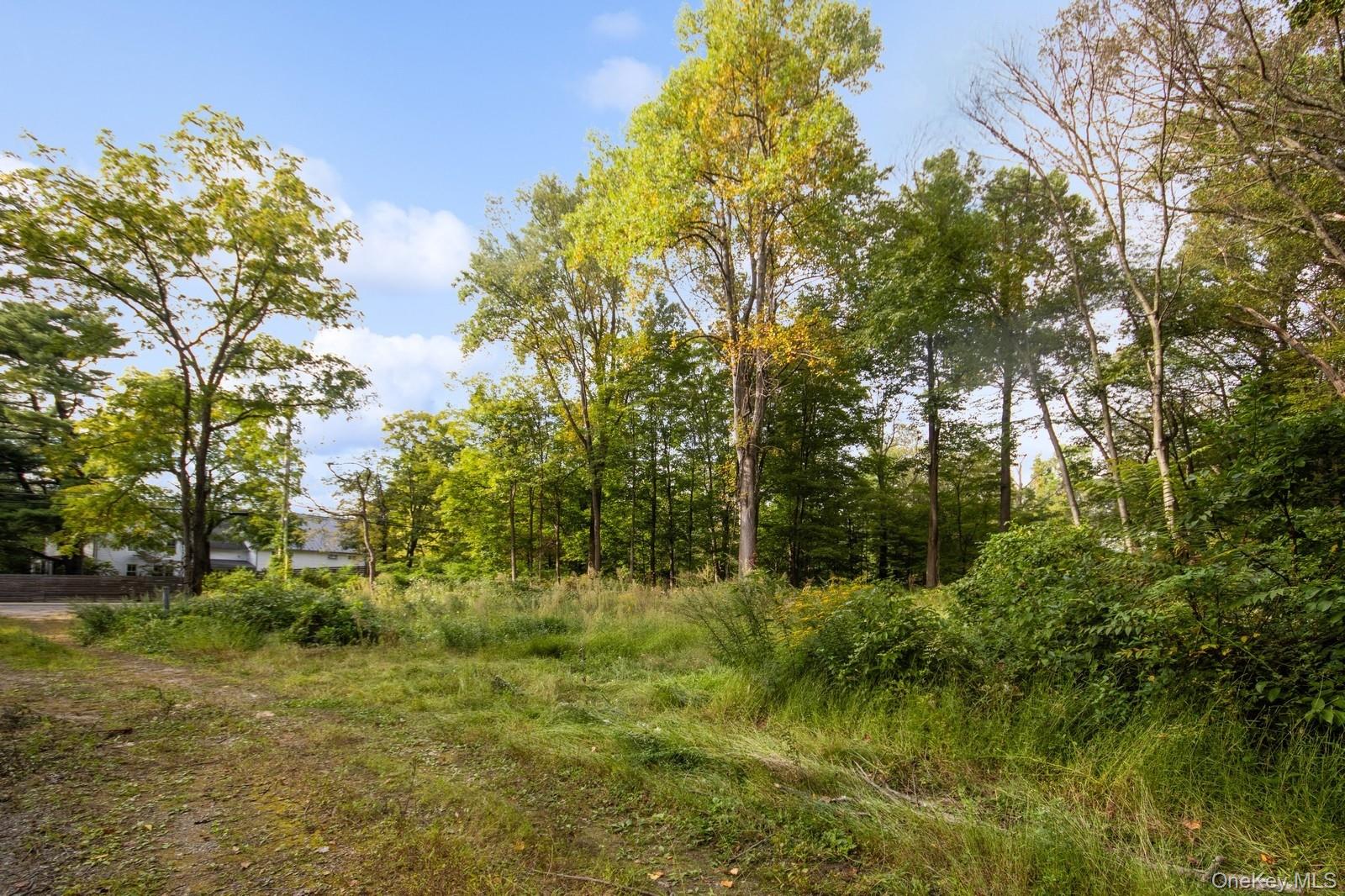Tbd Rt-9d Property Photo 2