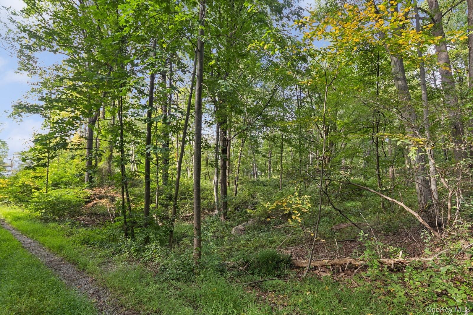 Tbd Rt-9d Property Photo 3