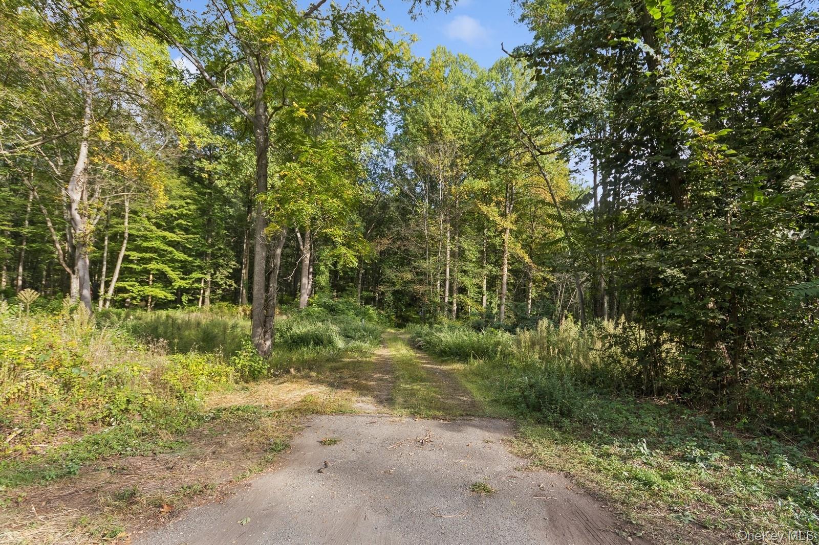 Tbd Rt-9d Property Photo 4