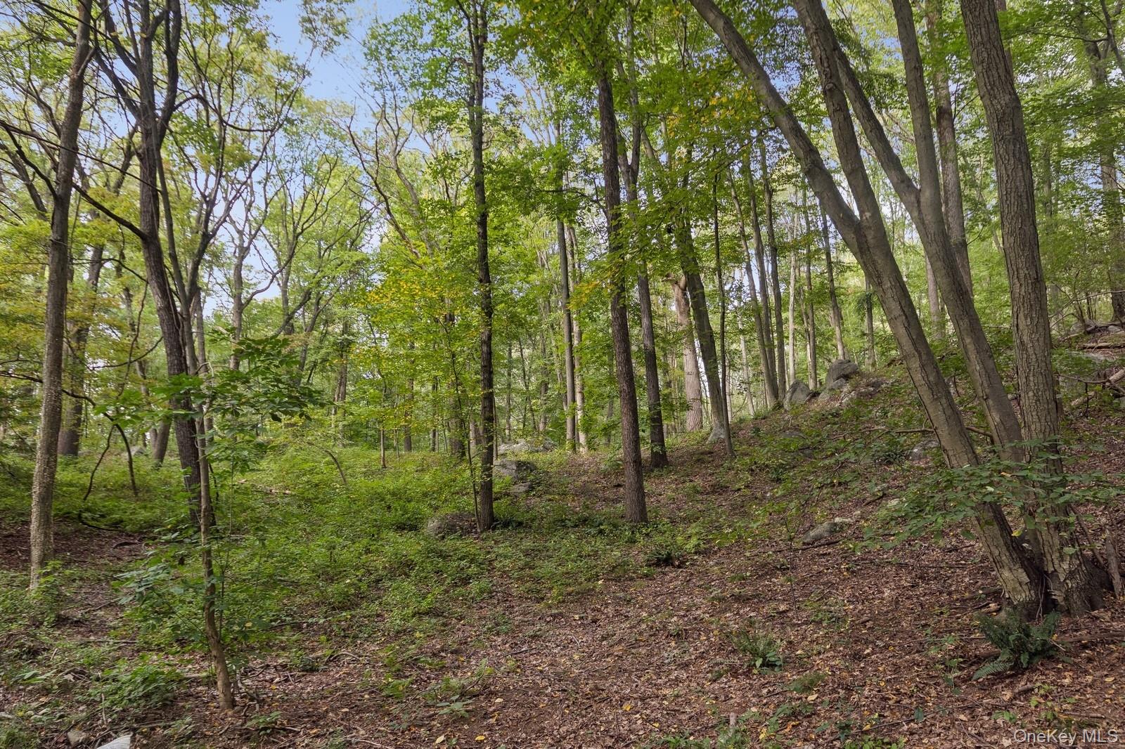 Tbd Rt-9d Property Photo 5