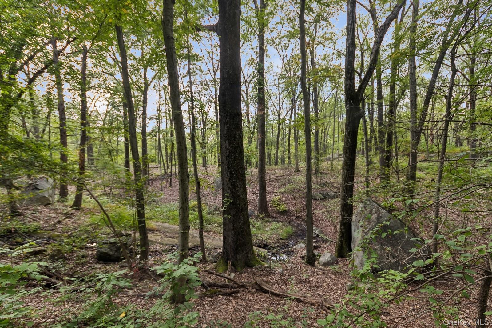Tbd Rt-9d Property Photo 10