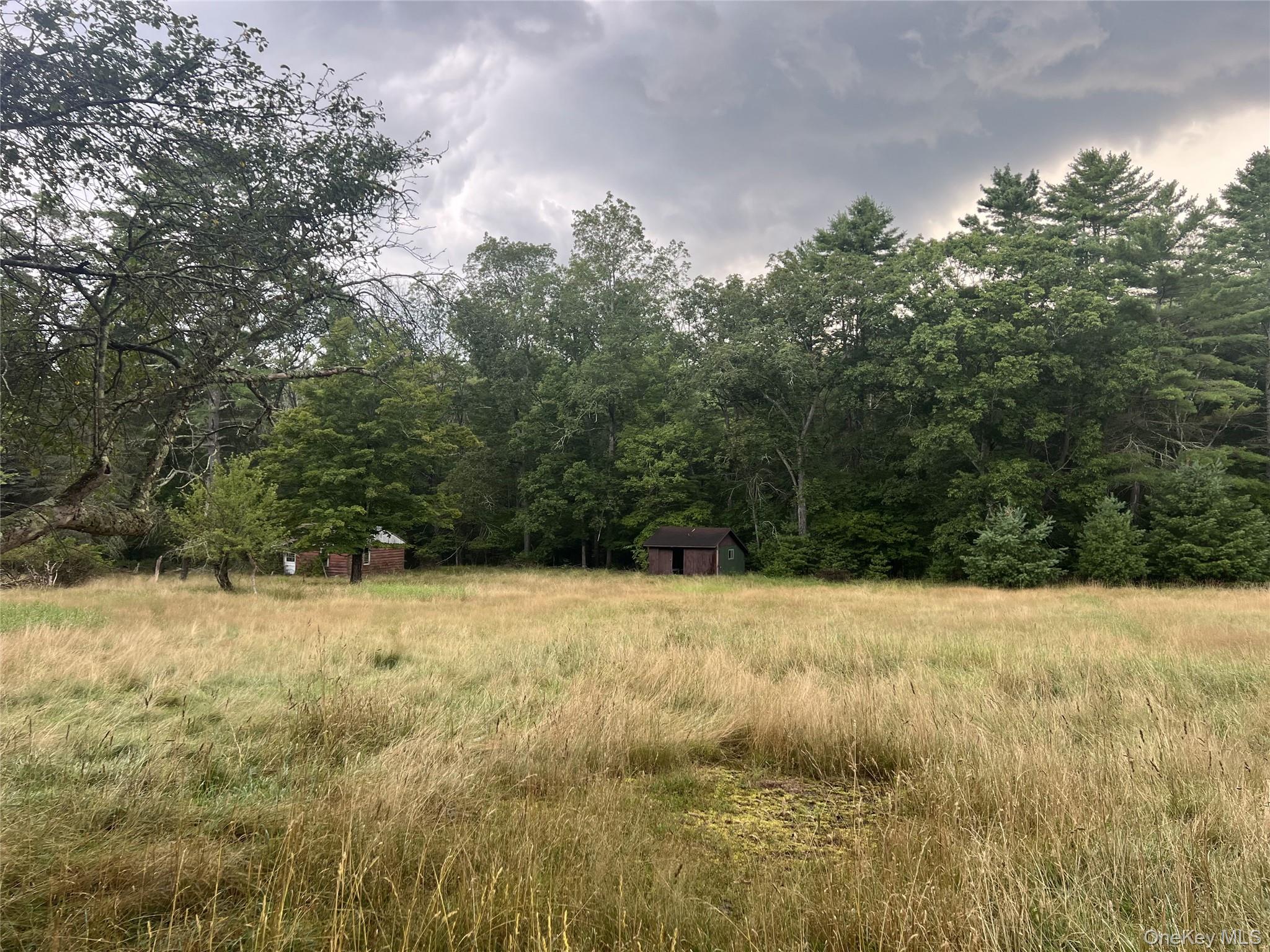 259 Lackawaxen Road Property Photo 3