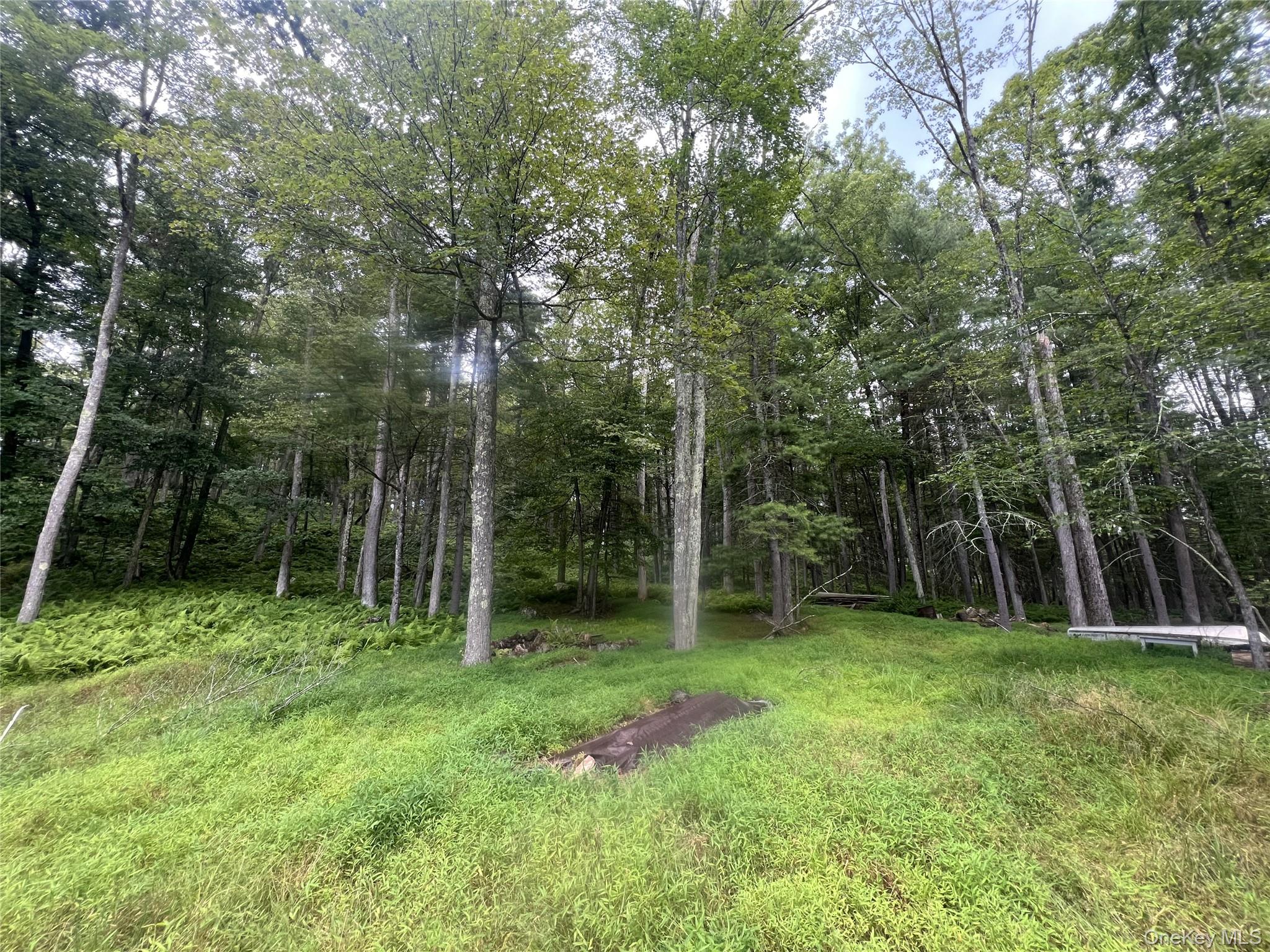 259 Lackawaxen Road Property Photo 8