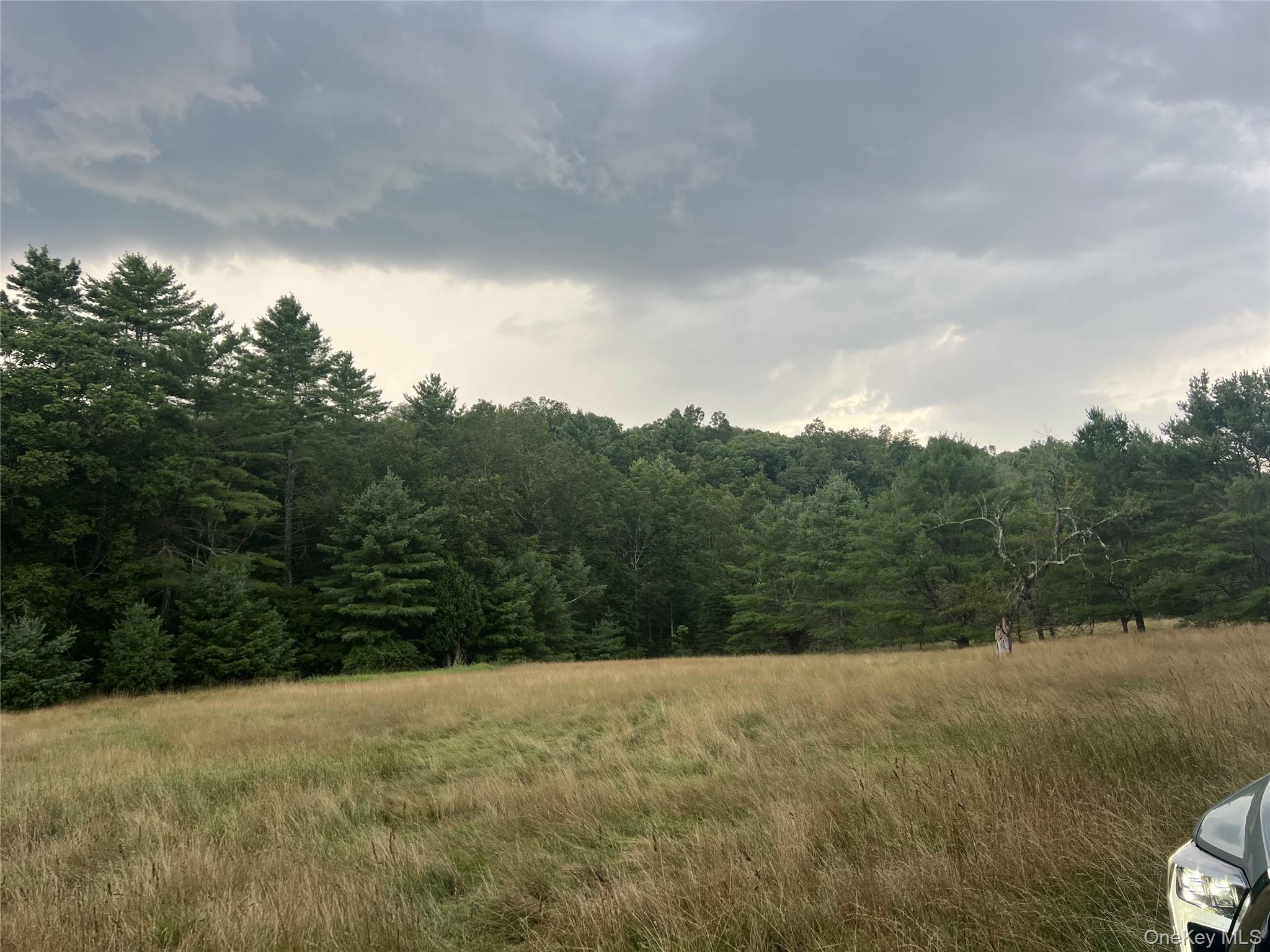 259 Lackawaxen Road Property Photo 10