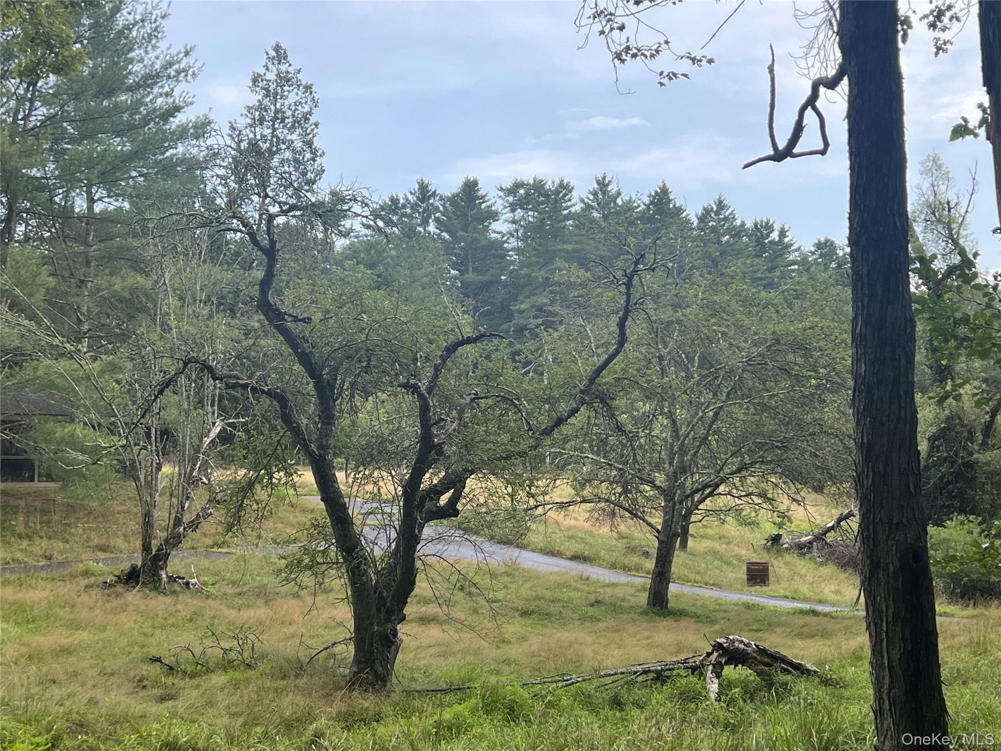 259 Lackawaxen Road Property Photo 17