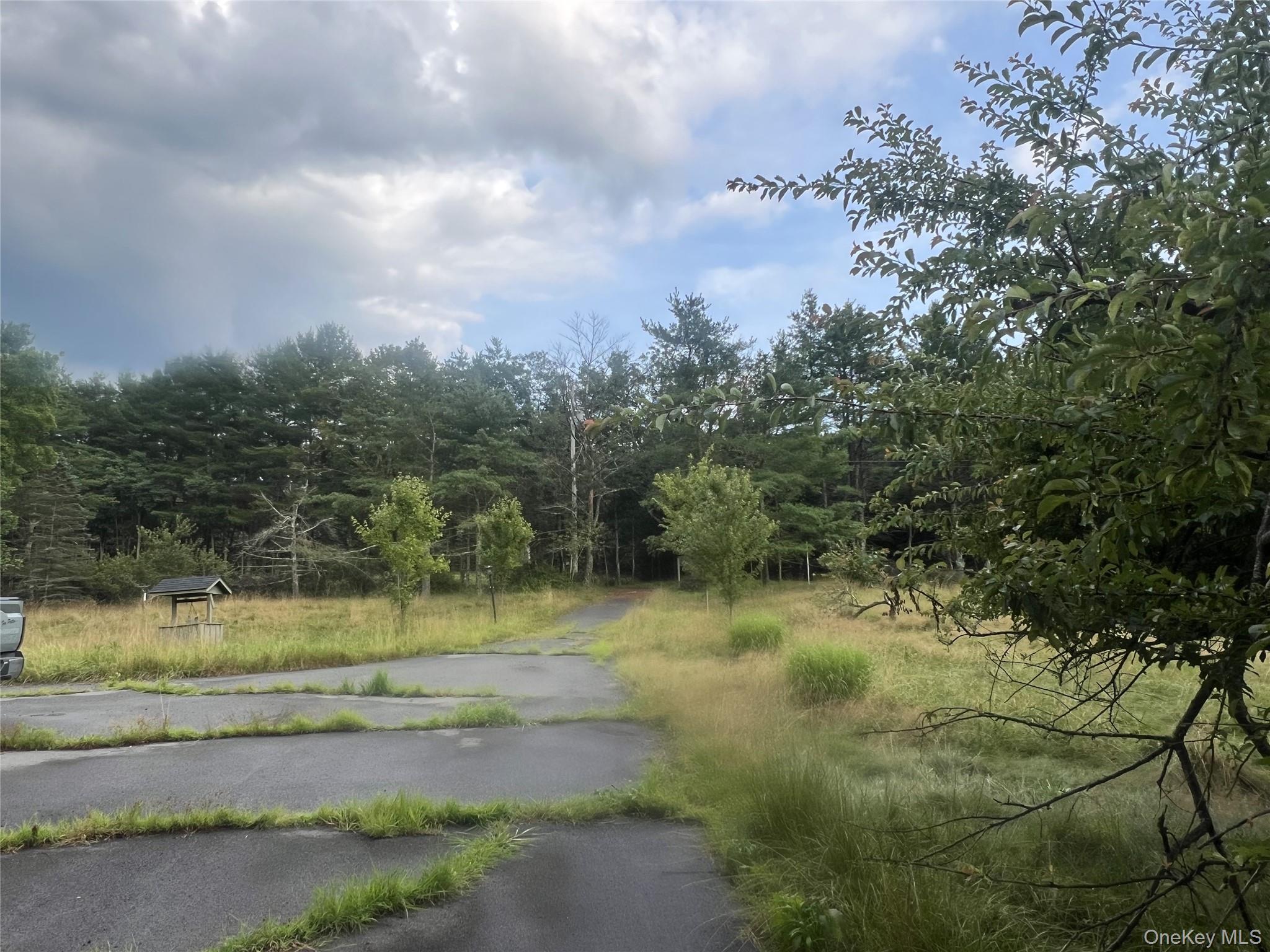 259 Lackawaxen Road Property Photo 18