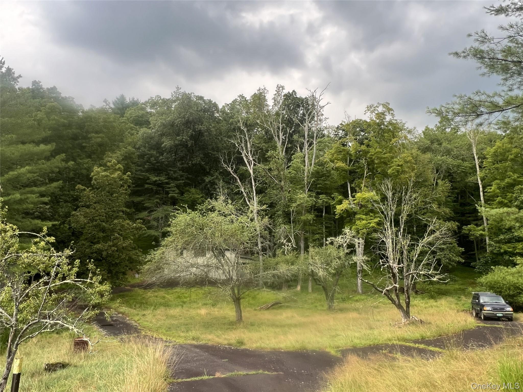 259 Lackawaxen Road Property Photo 19