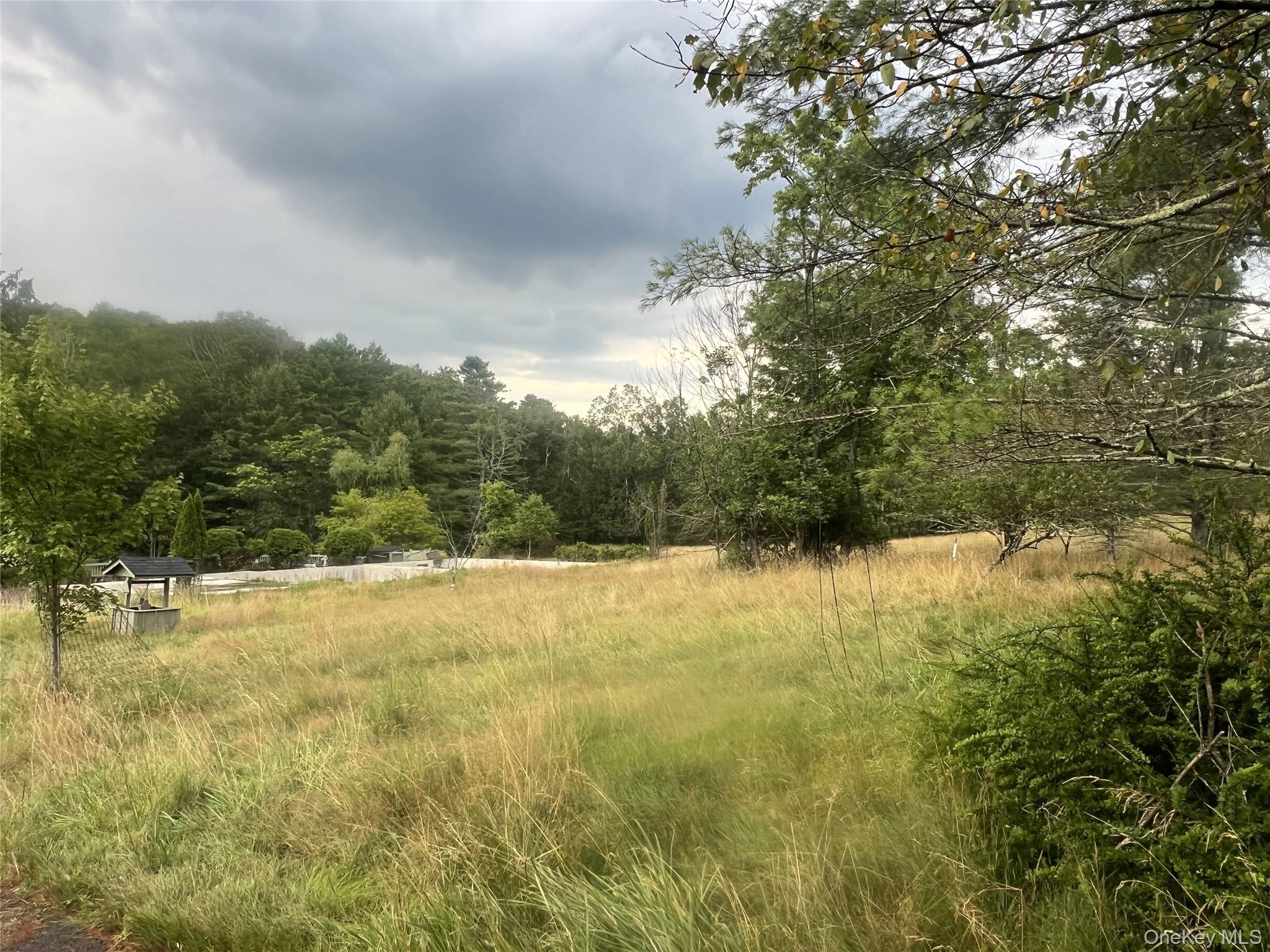 259 Lackawaxen Road Property Photo 23