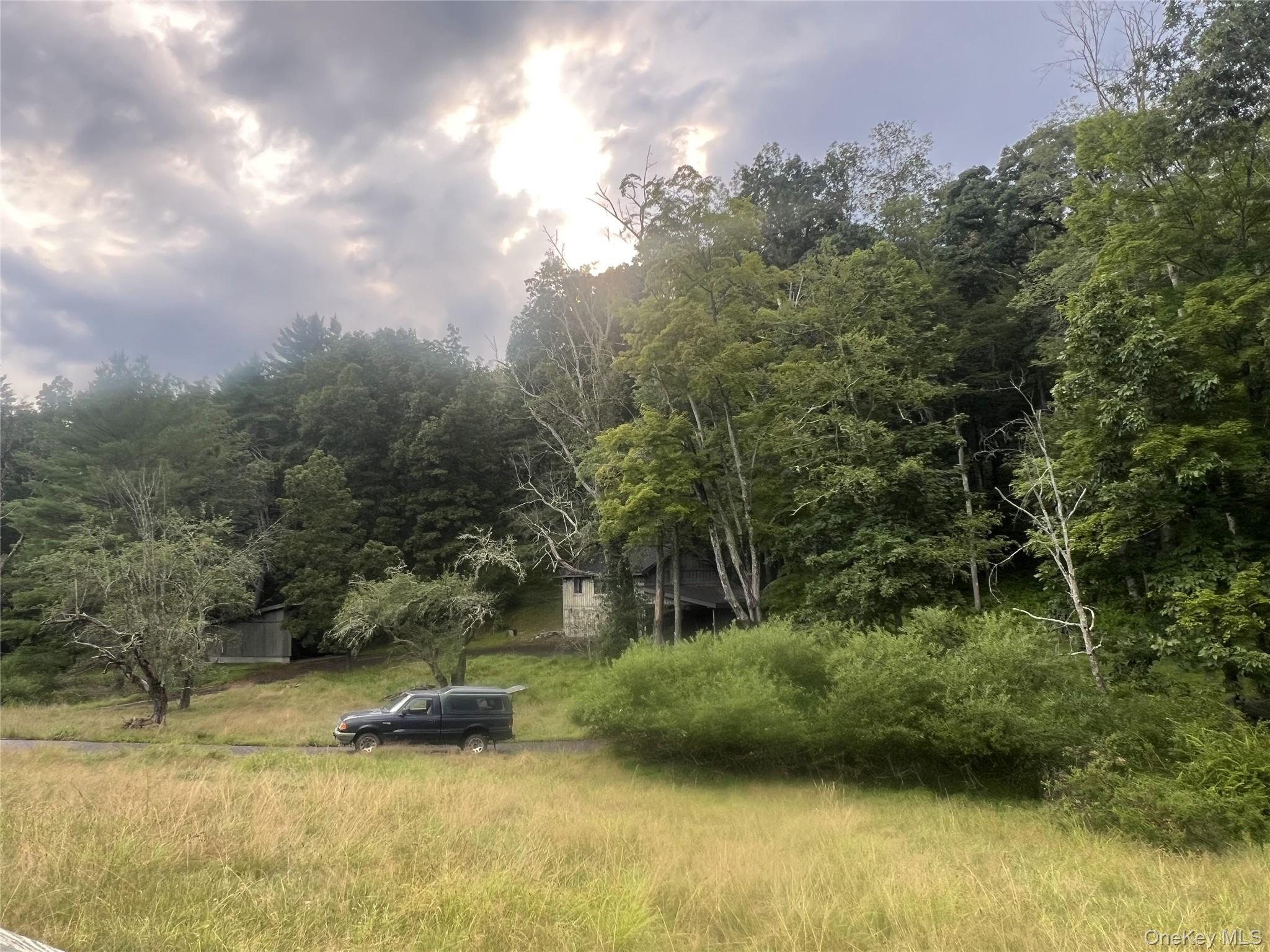 259 Lackawaxen Road Property Photo 24