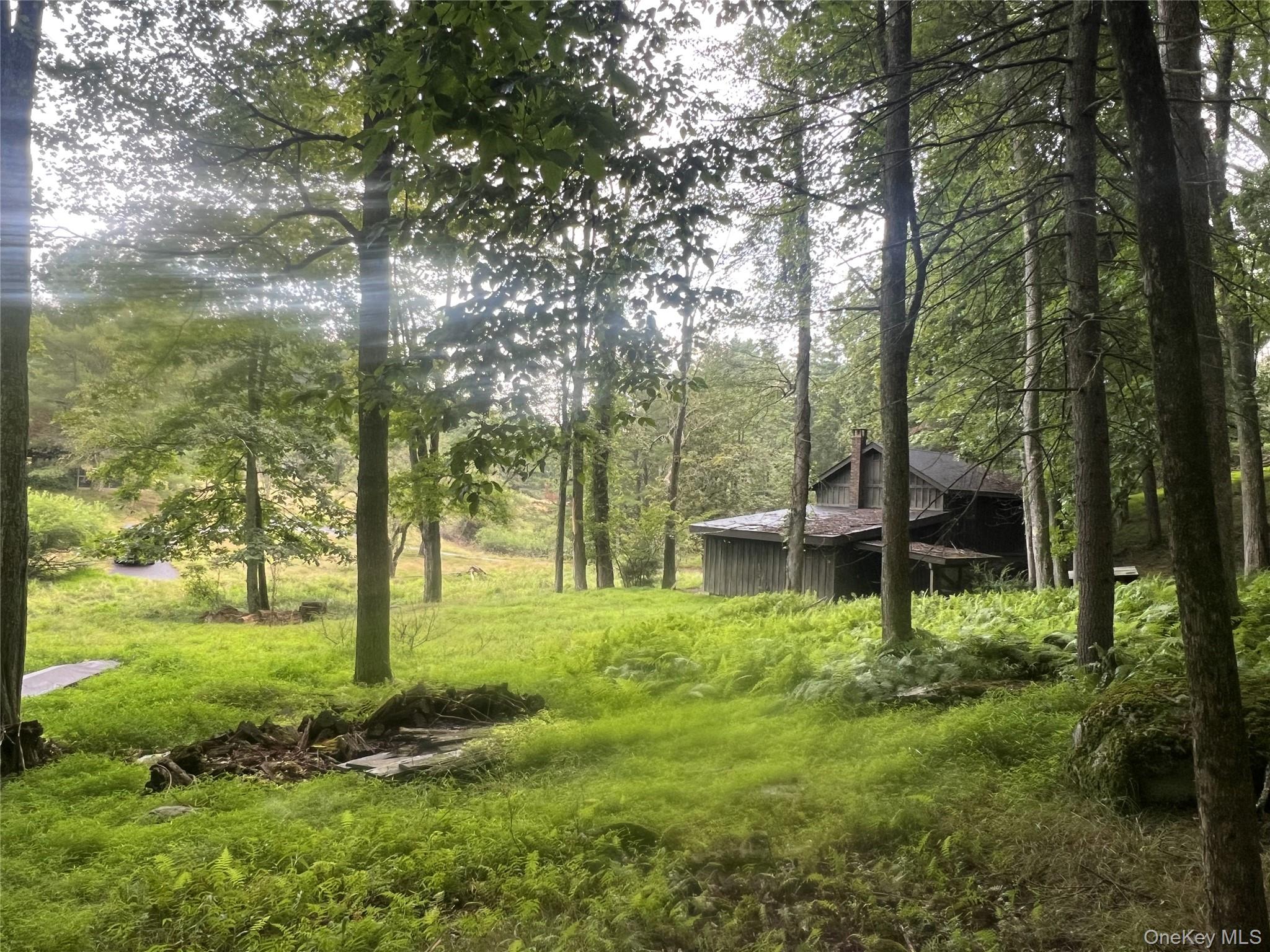 259 Lackawaxen Road Property Photo 27